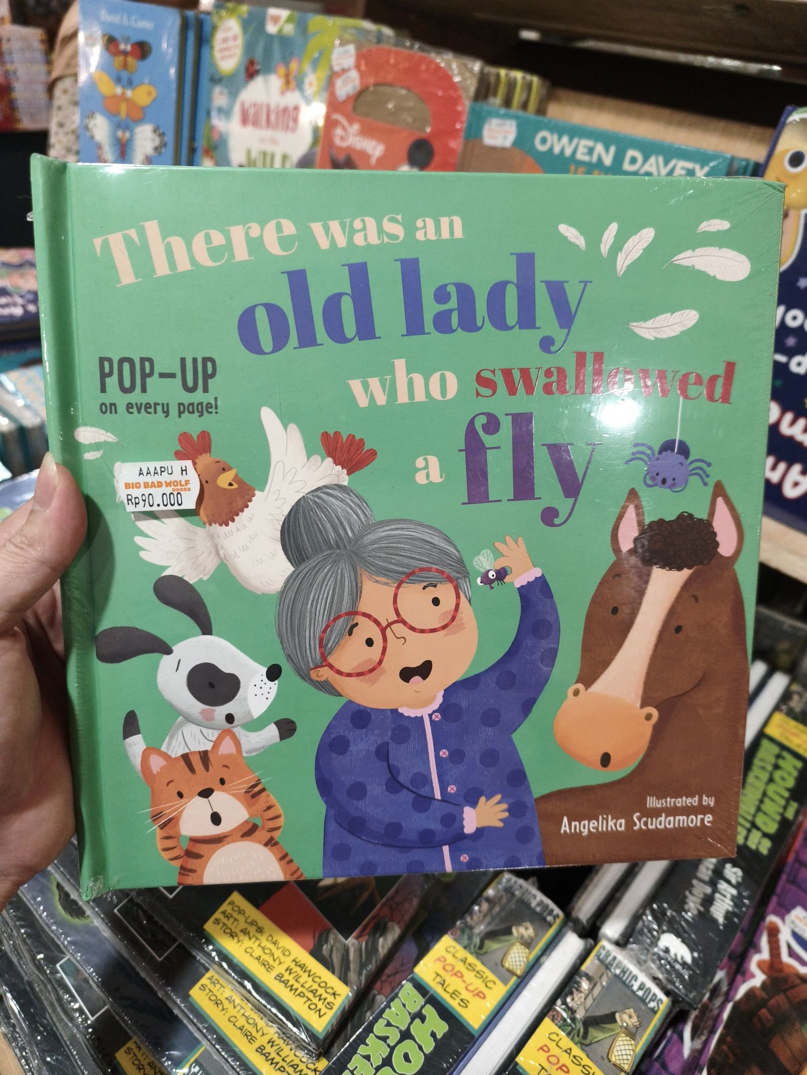 There was an old lady who swallowed a fly
