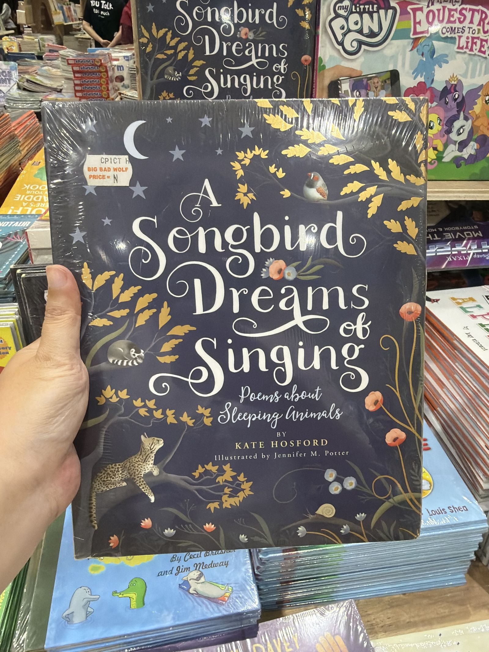 A Songbird Dreams of Singing