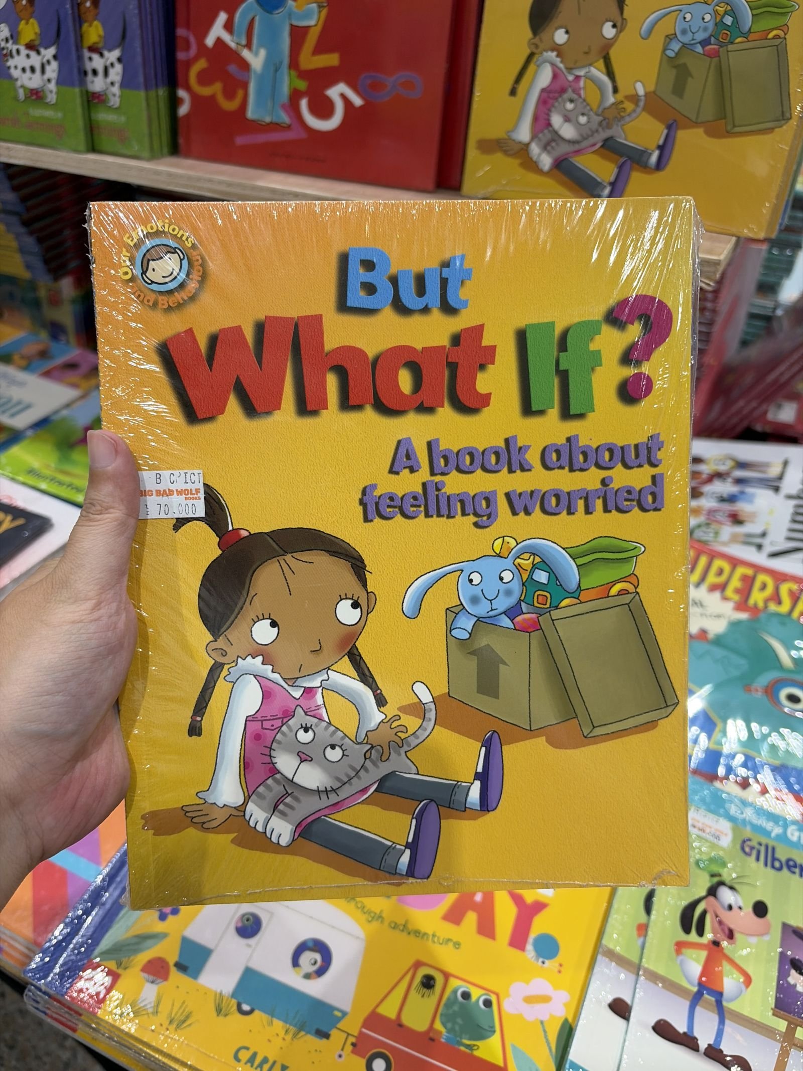 But What If? A book about feeling worried