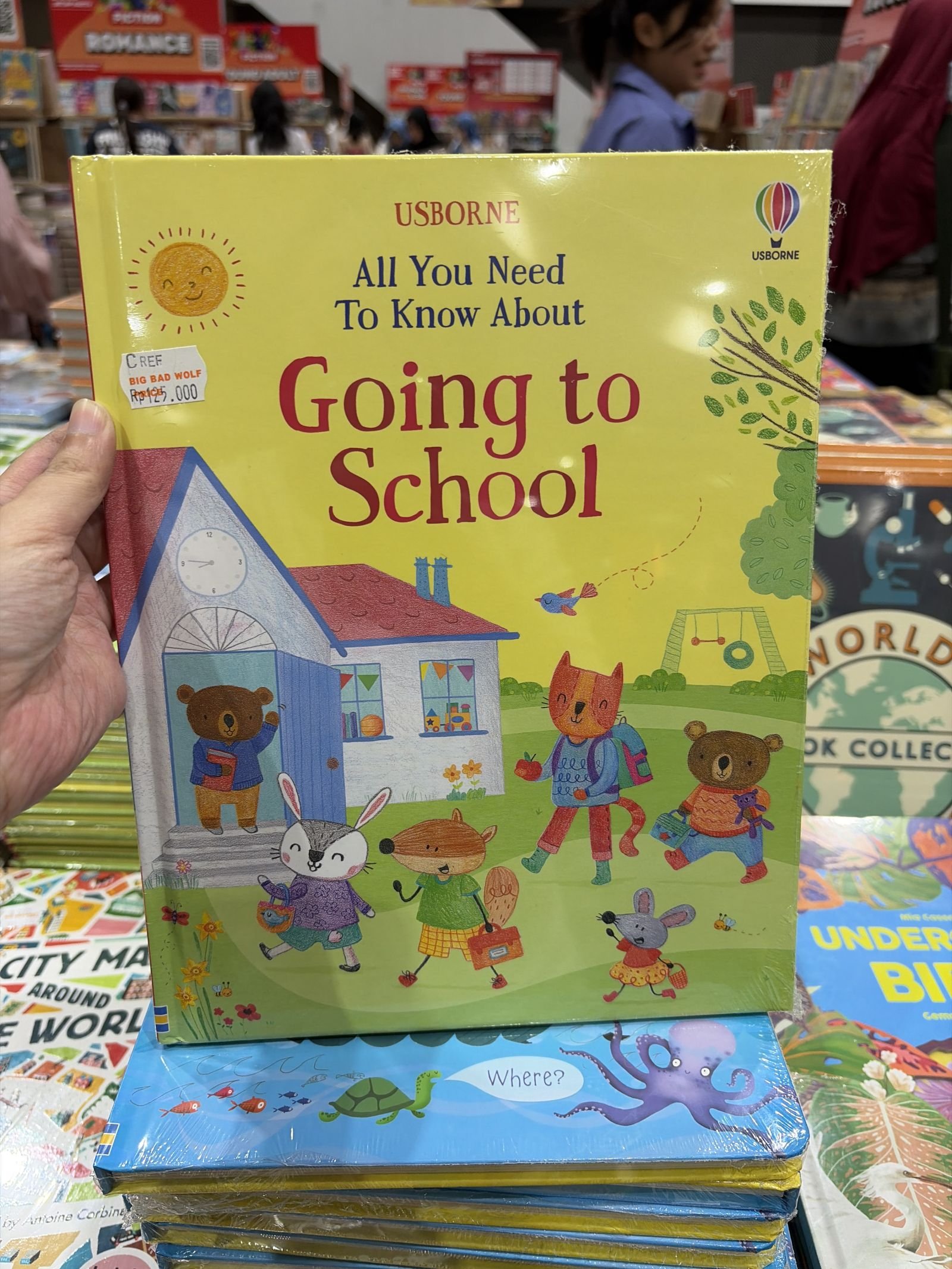 All You Need to Know About Going to School