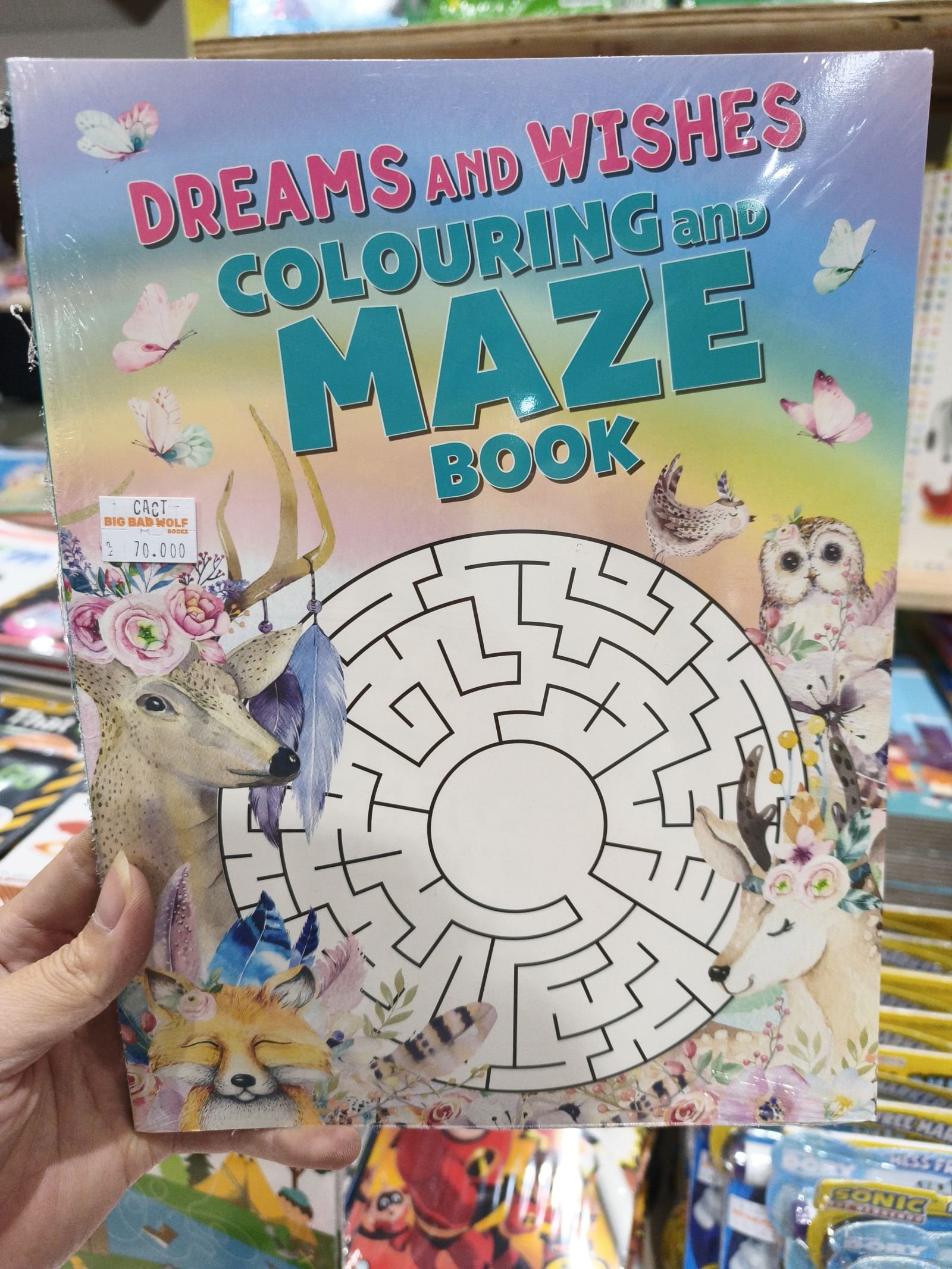 Dreams and wishes coloring and maze book