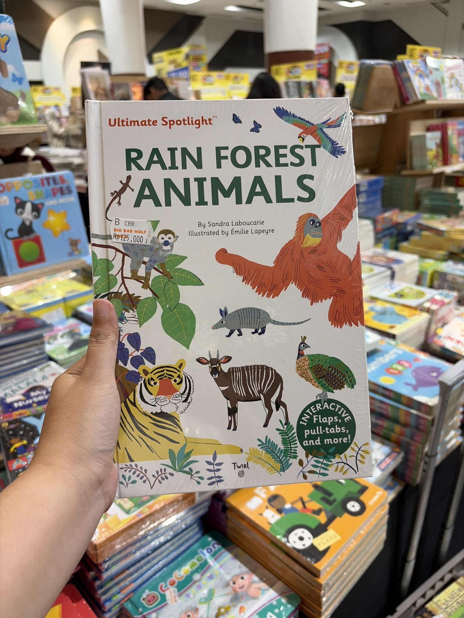 Ultimate Spotlight: Rain Forest Animals