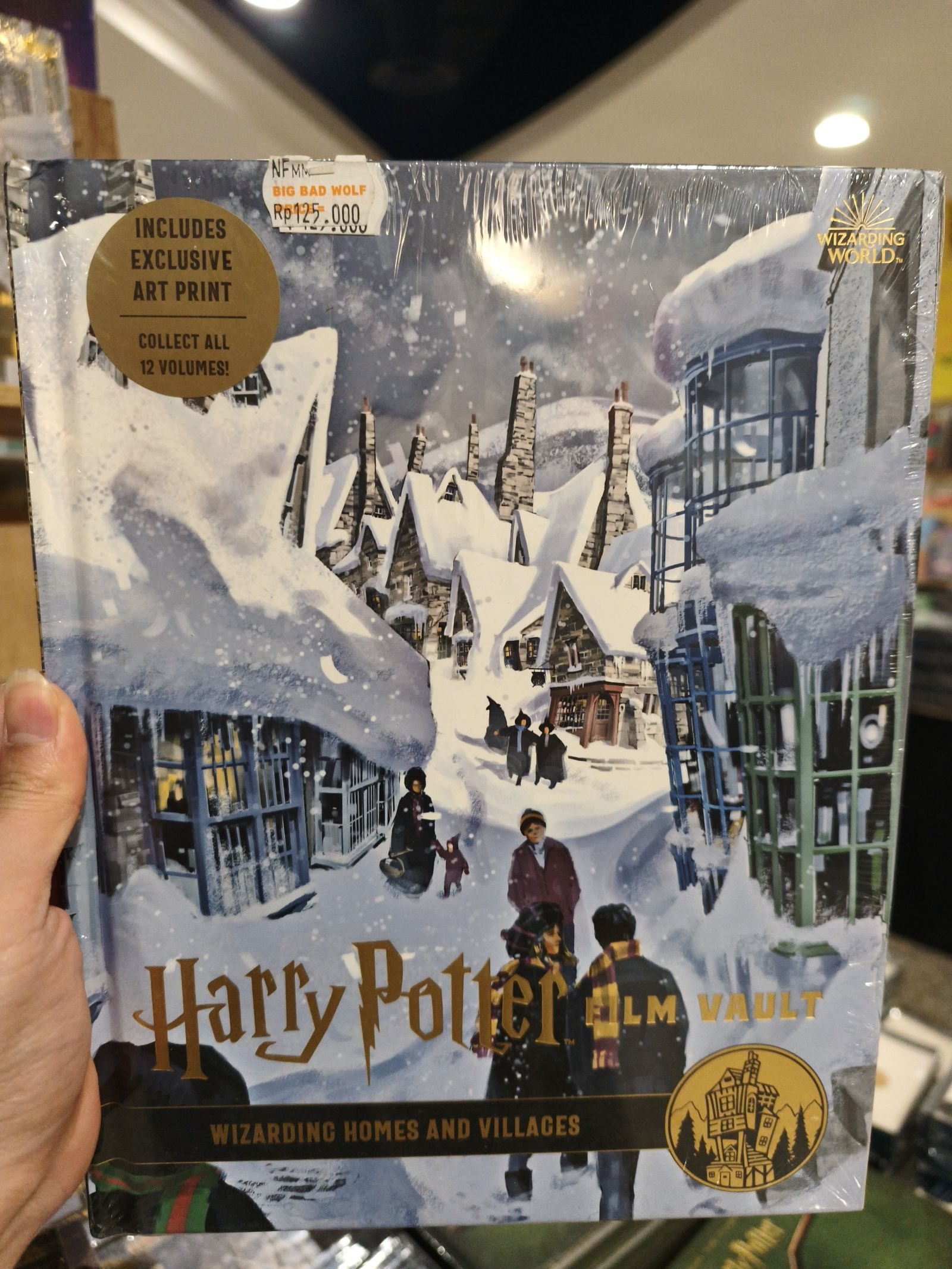 Harry Potter: the Film Vault - Volume 10