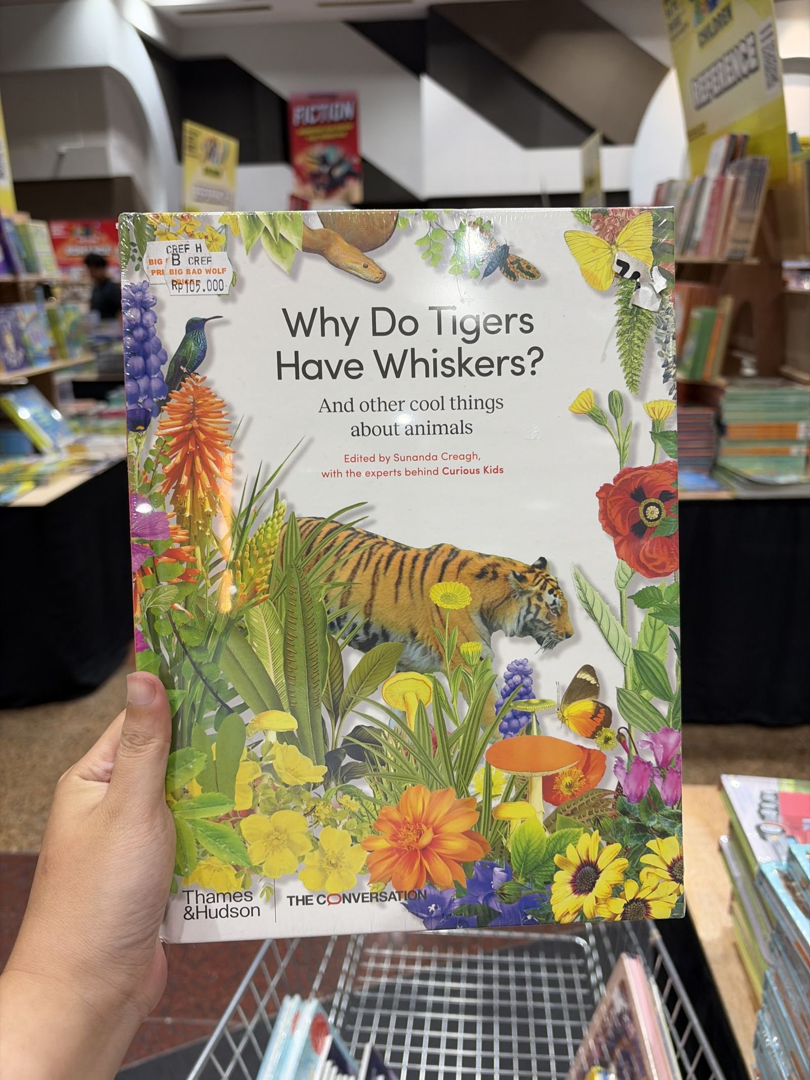 Why Do Tigers Have Whiskers?