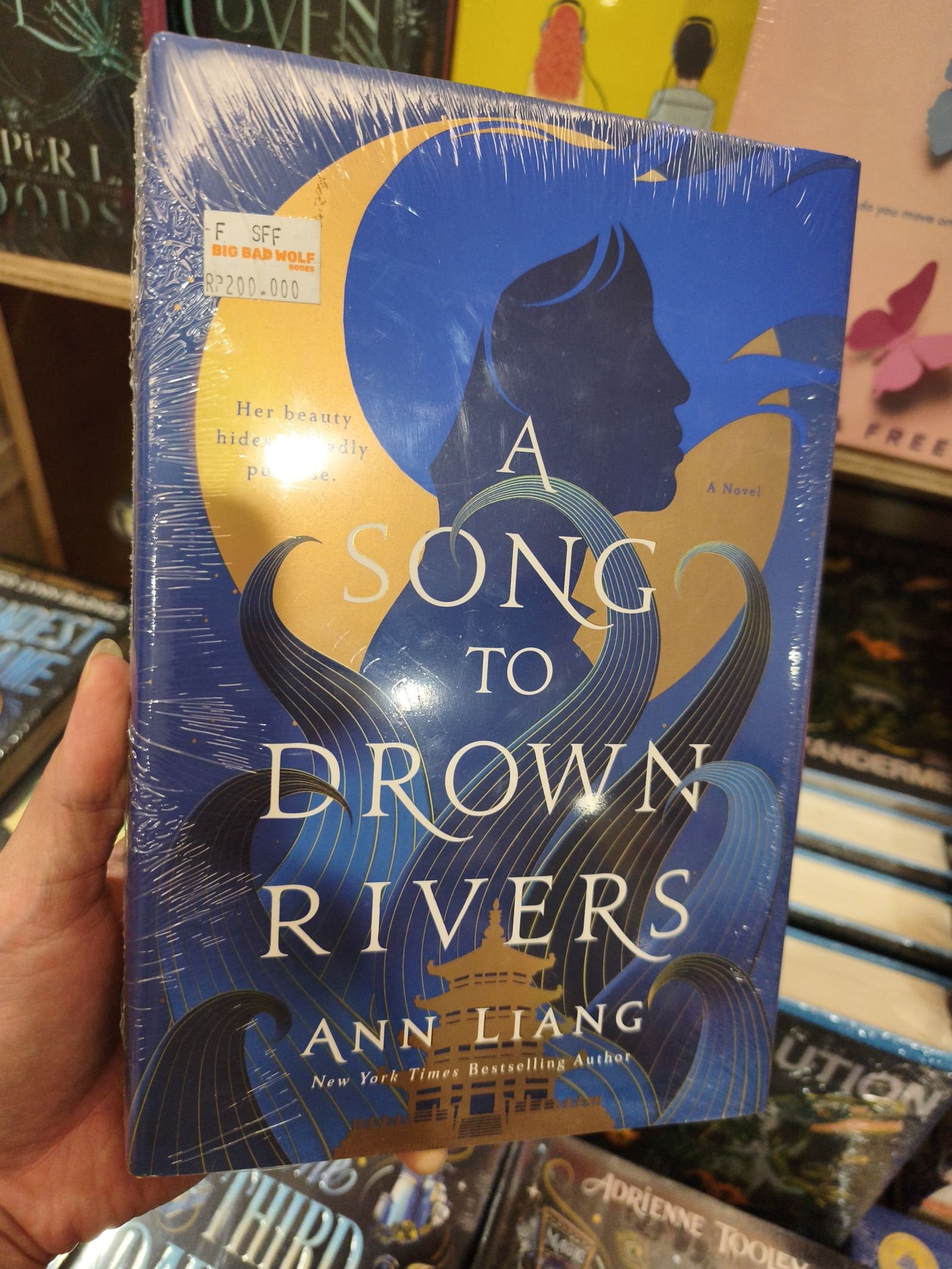 A Song to Drown Rivers