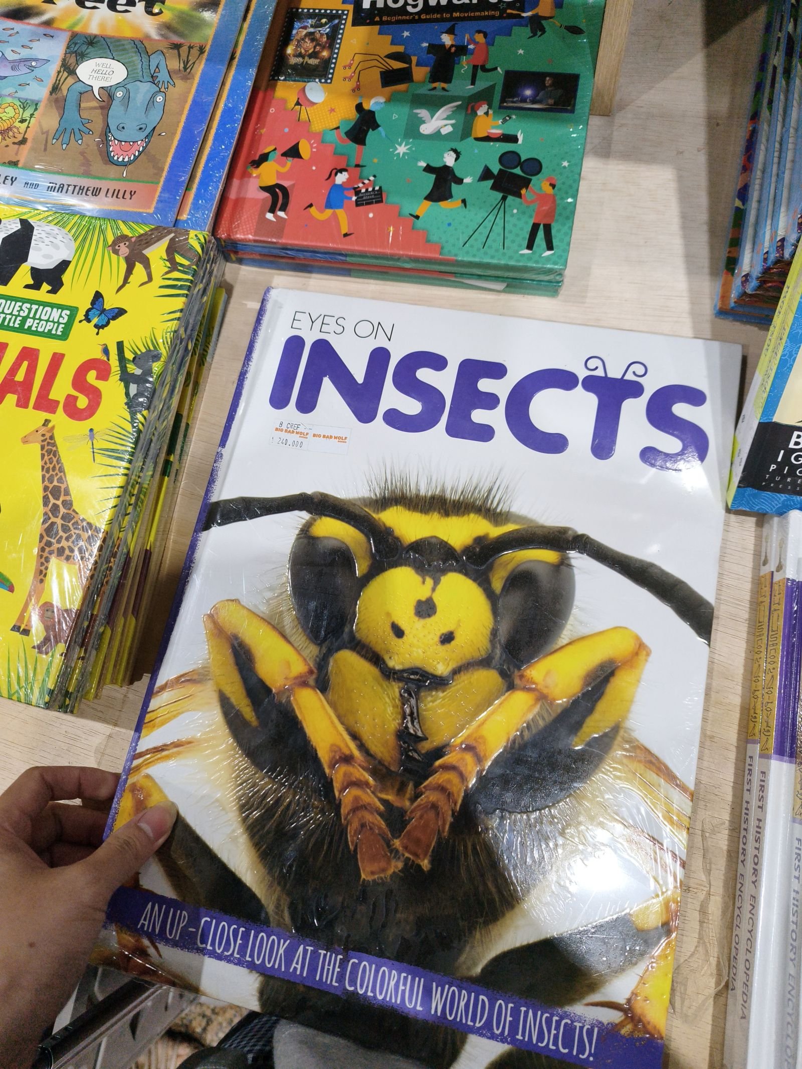 Eyes On Insects