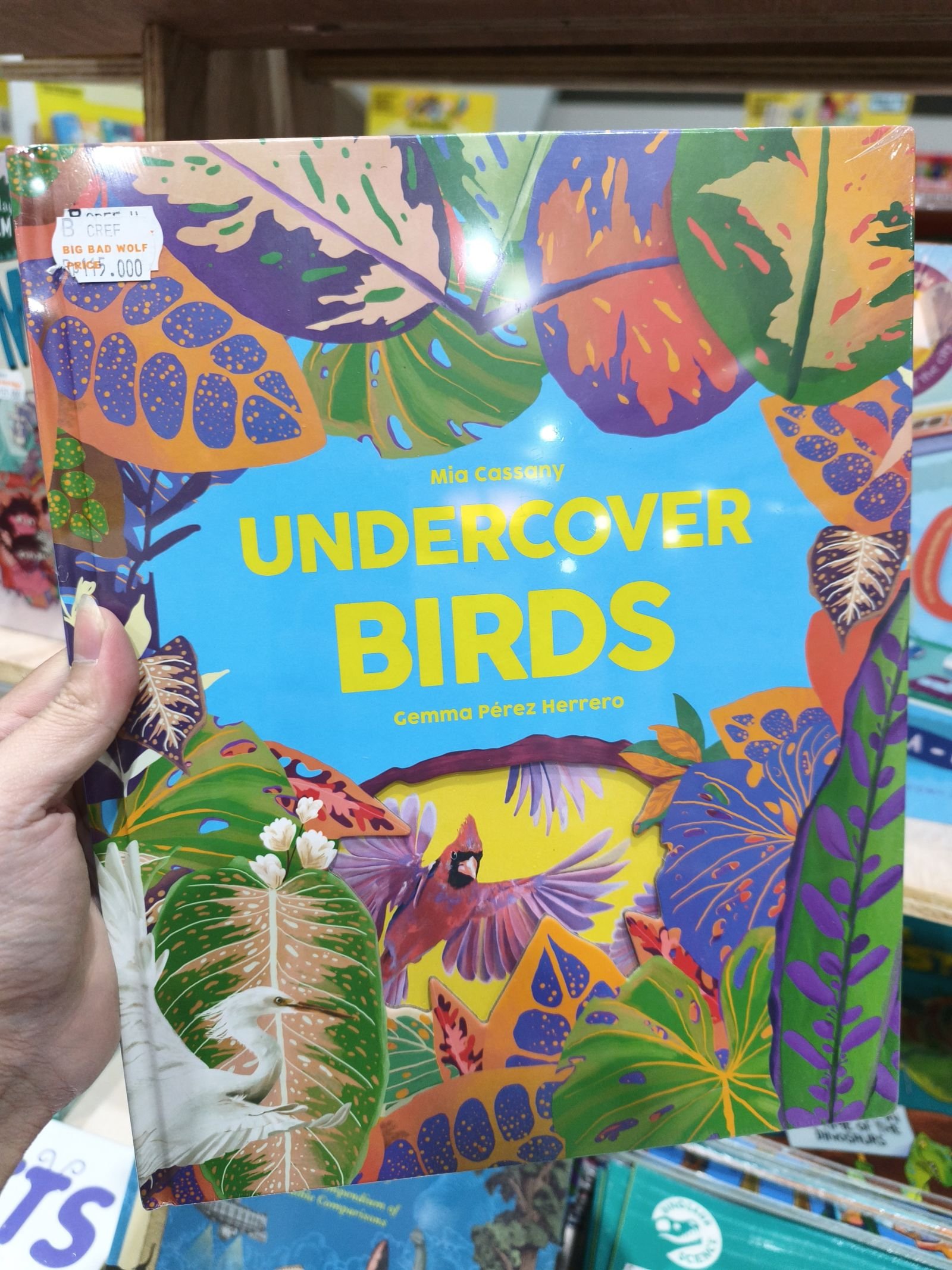 Undercover Birds