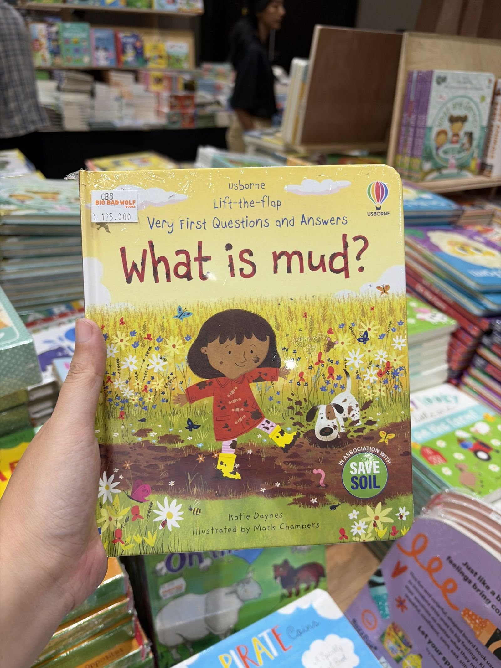 Very First Questions and Answers: What Is Mud?