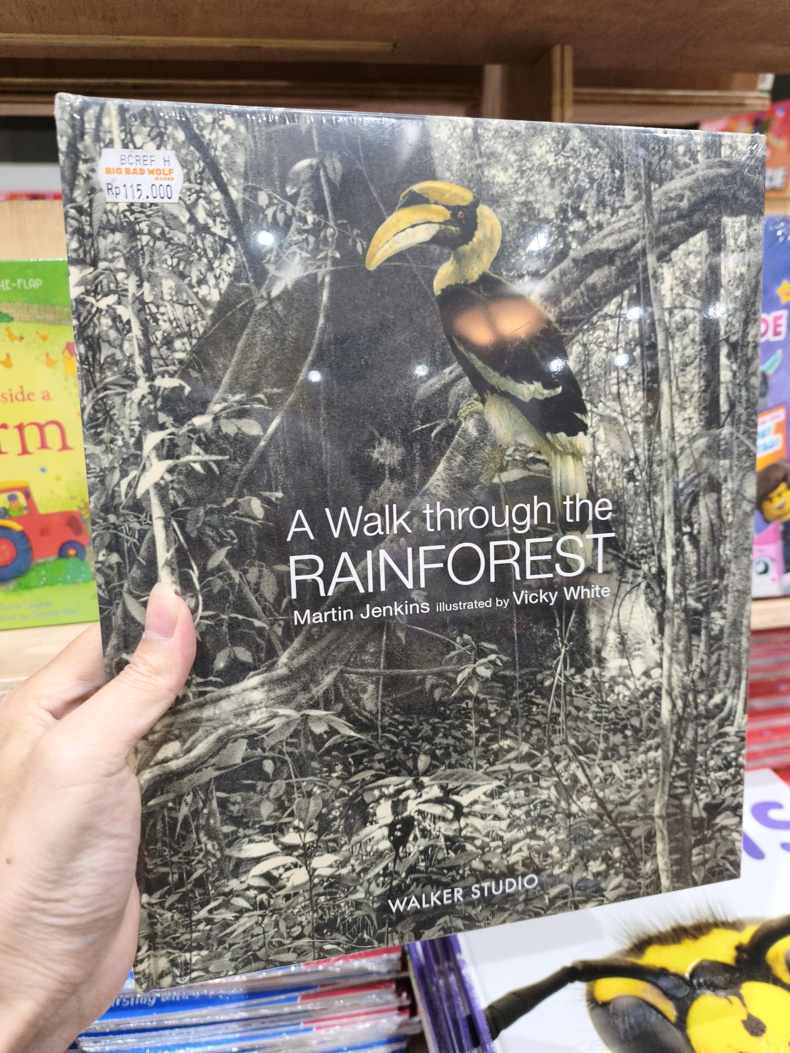 A Walk Through the Rainforest