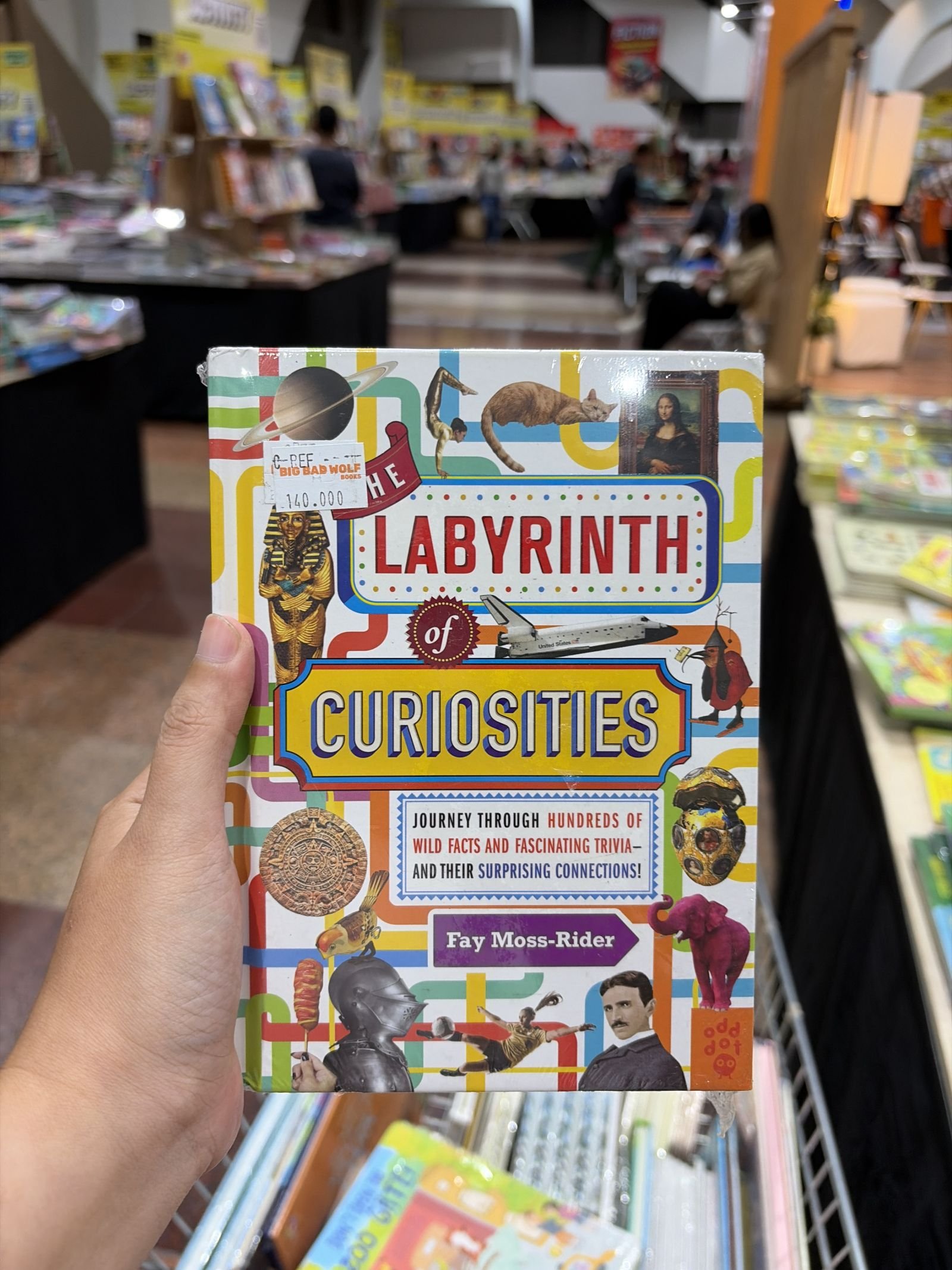 The Labyrinth of Curiosities