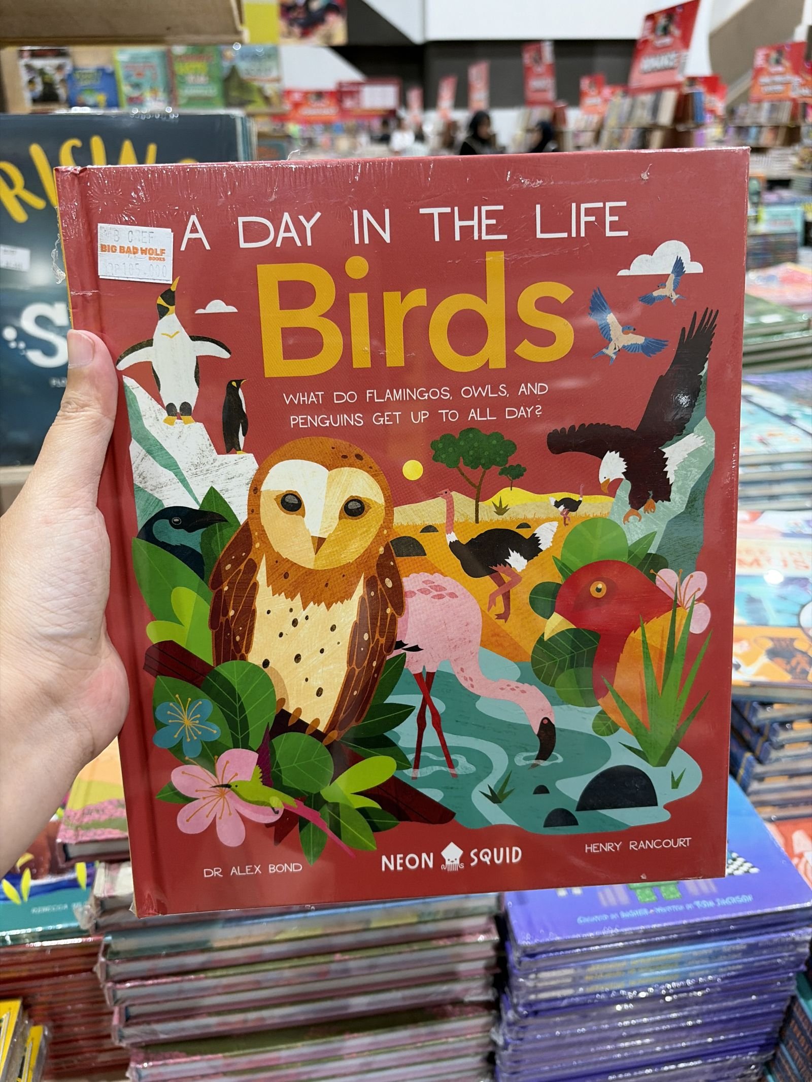 Birds (a Day in the Life)