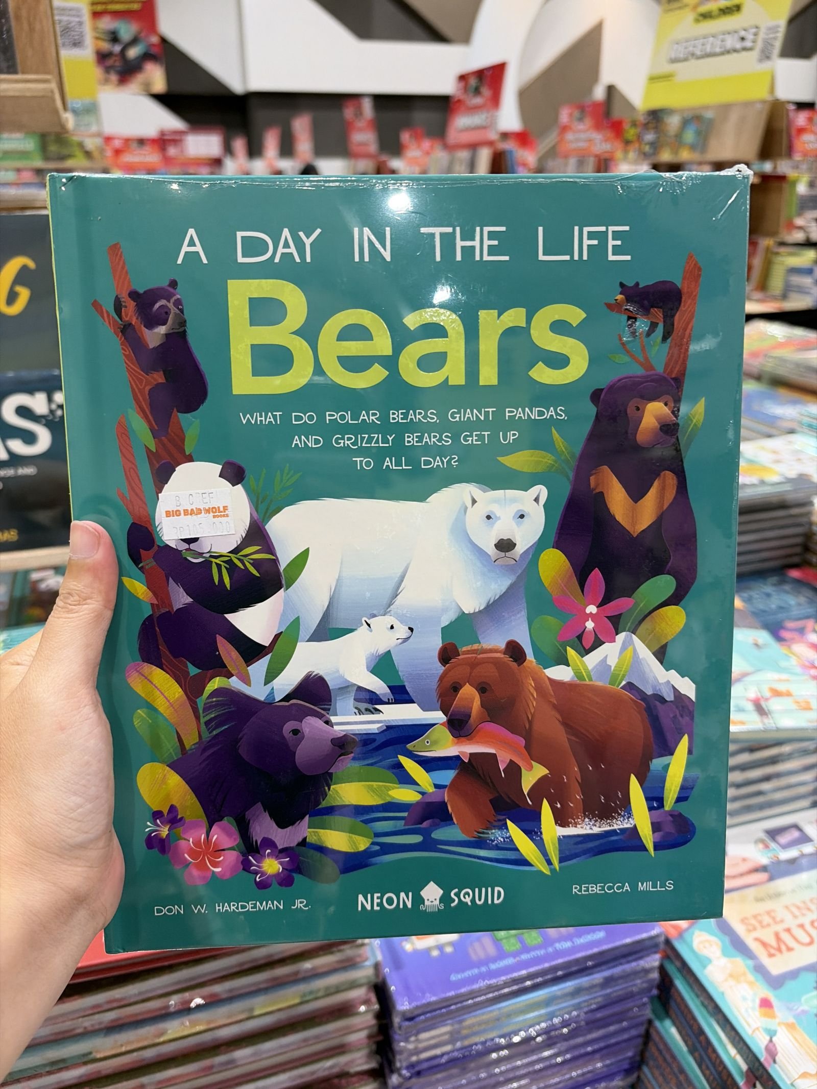 Bears (a Day in the Life)