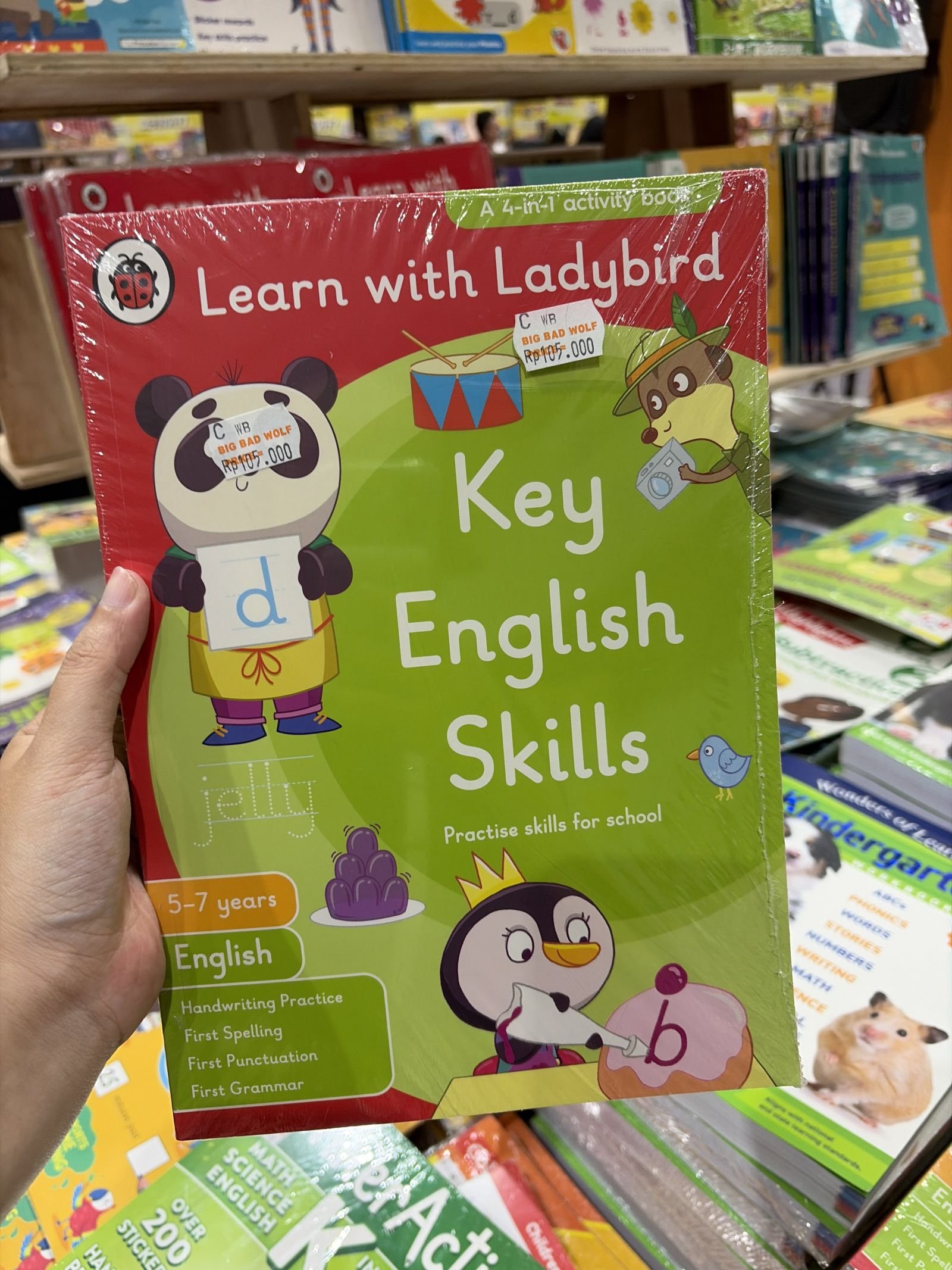 Learn with ladybird key english skills