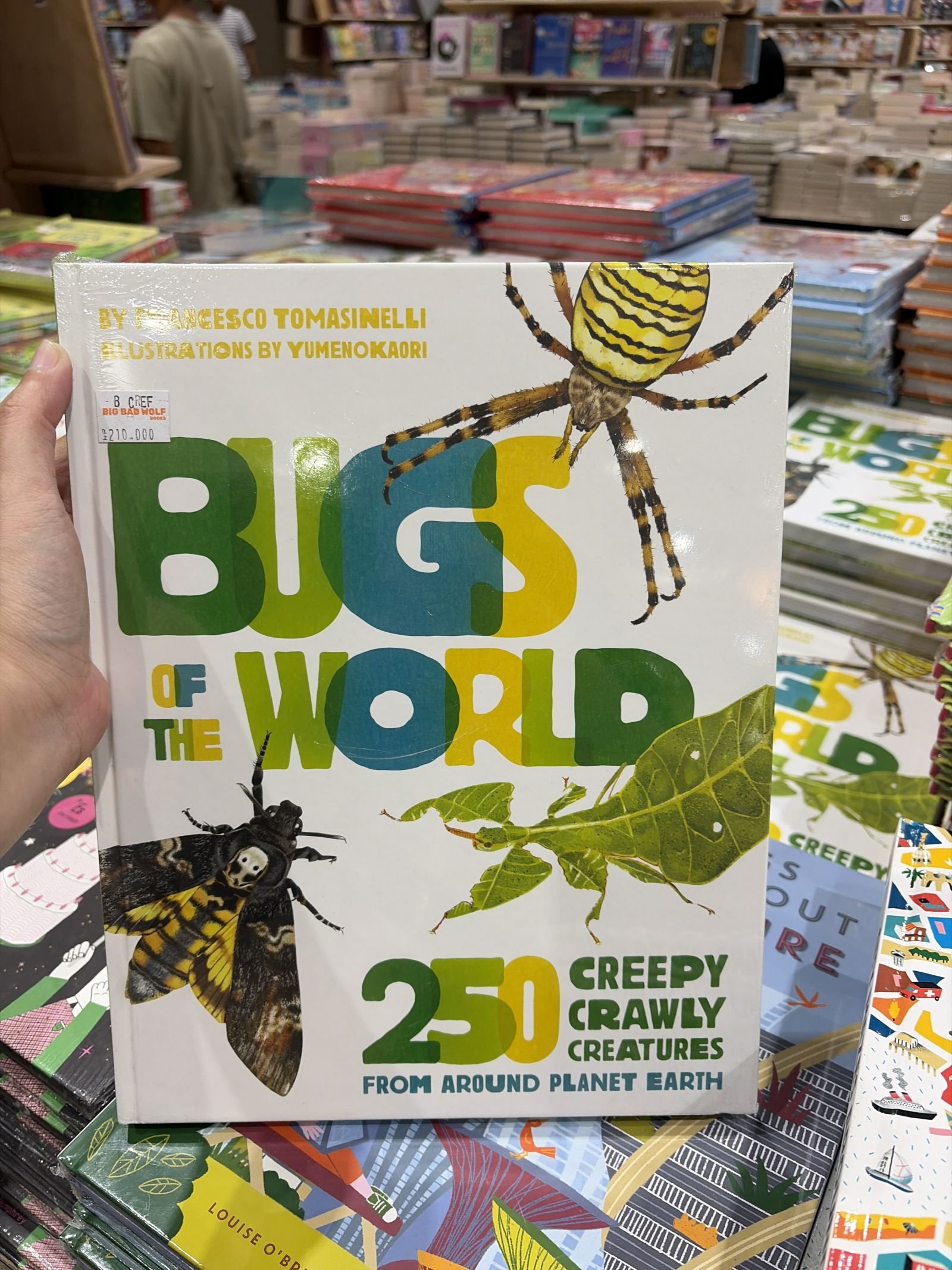 Bugs of the World