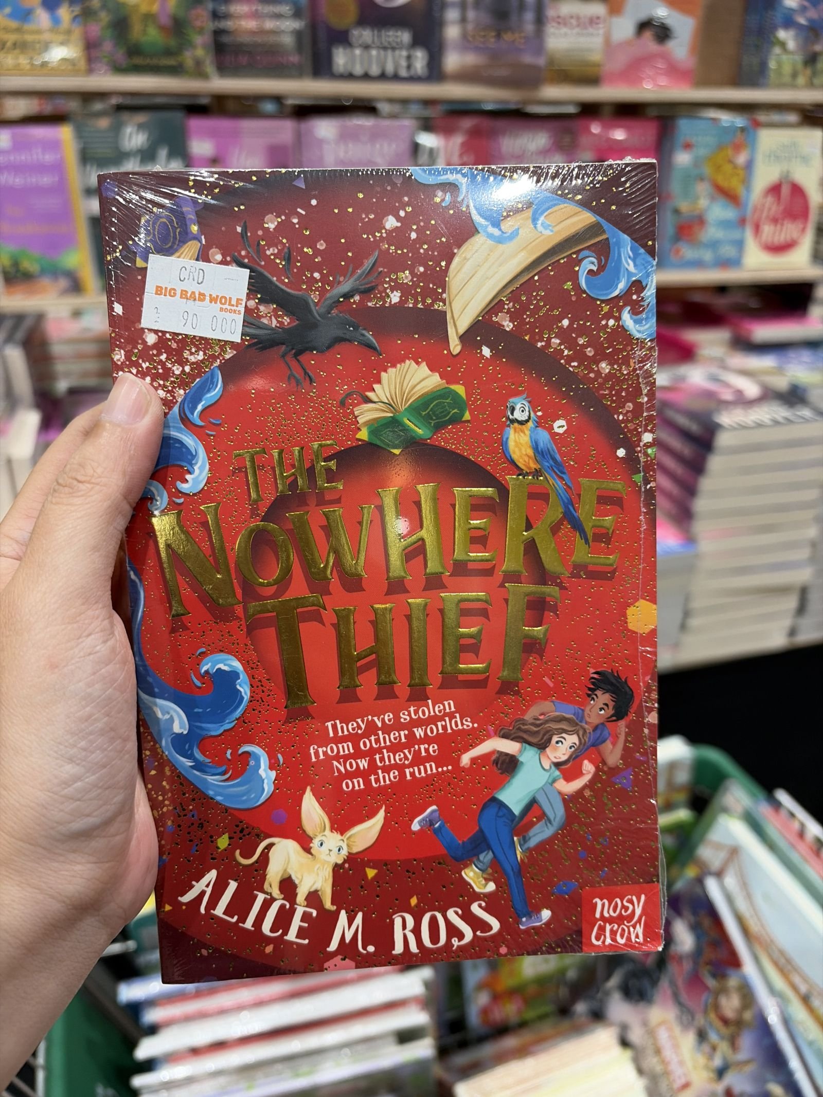 The Nowhere Thief