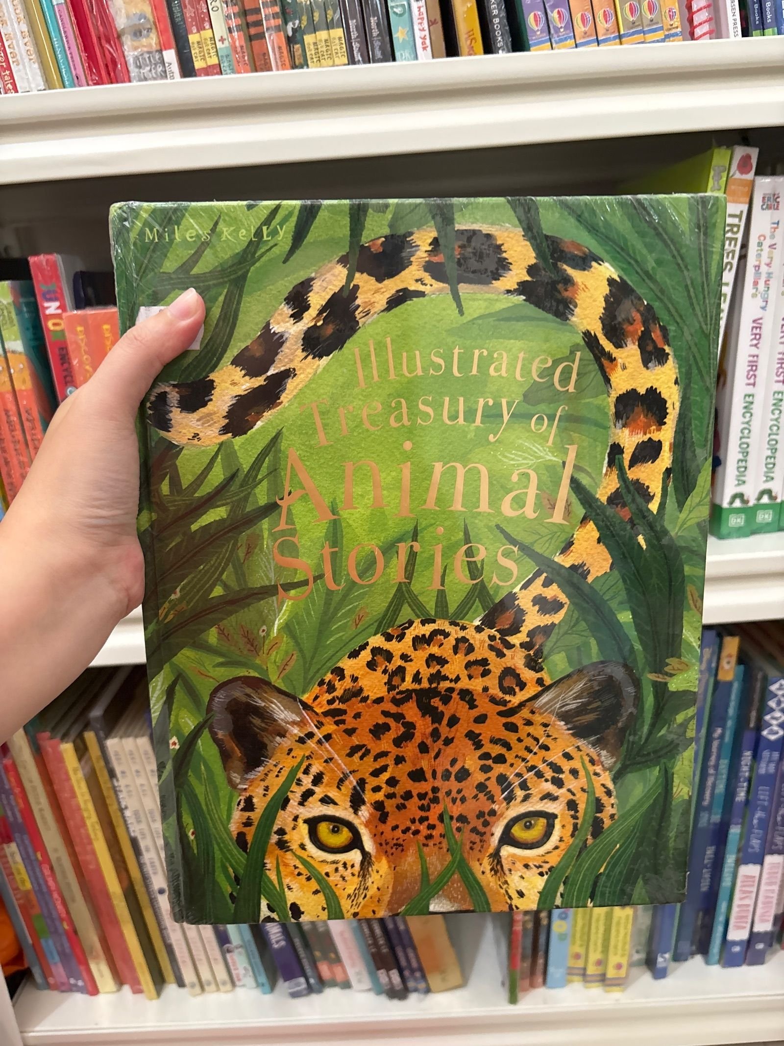 Illustrated Treasury of Animal Stories