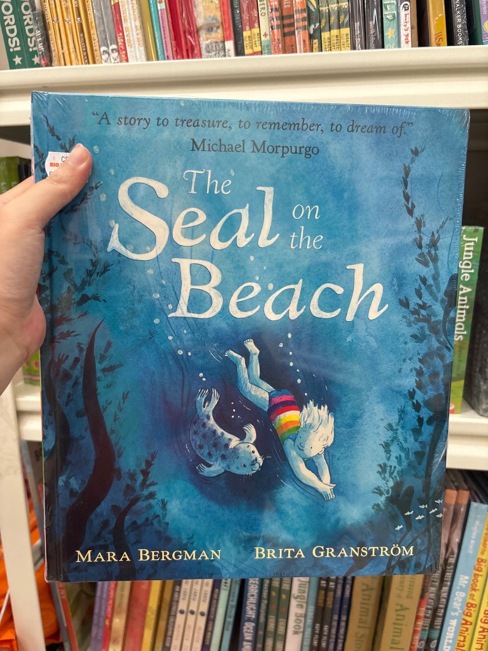 Seal on the Beach