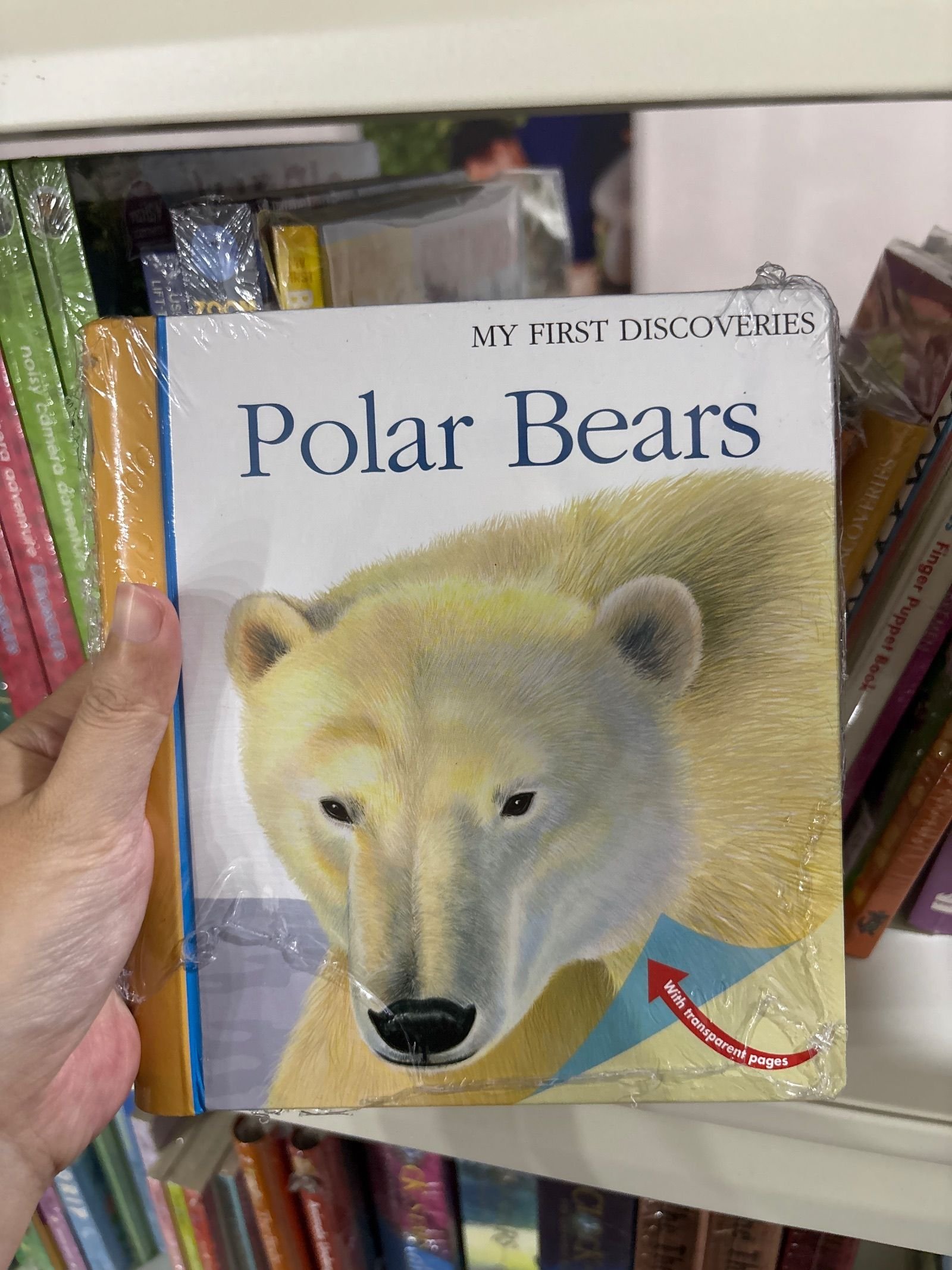 MFD Polar Bears