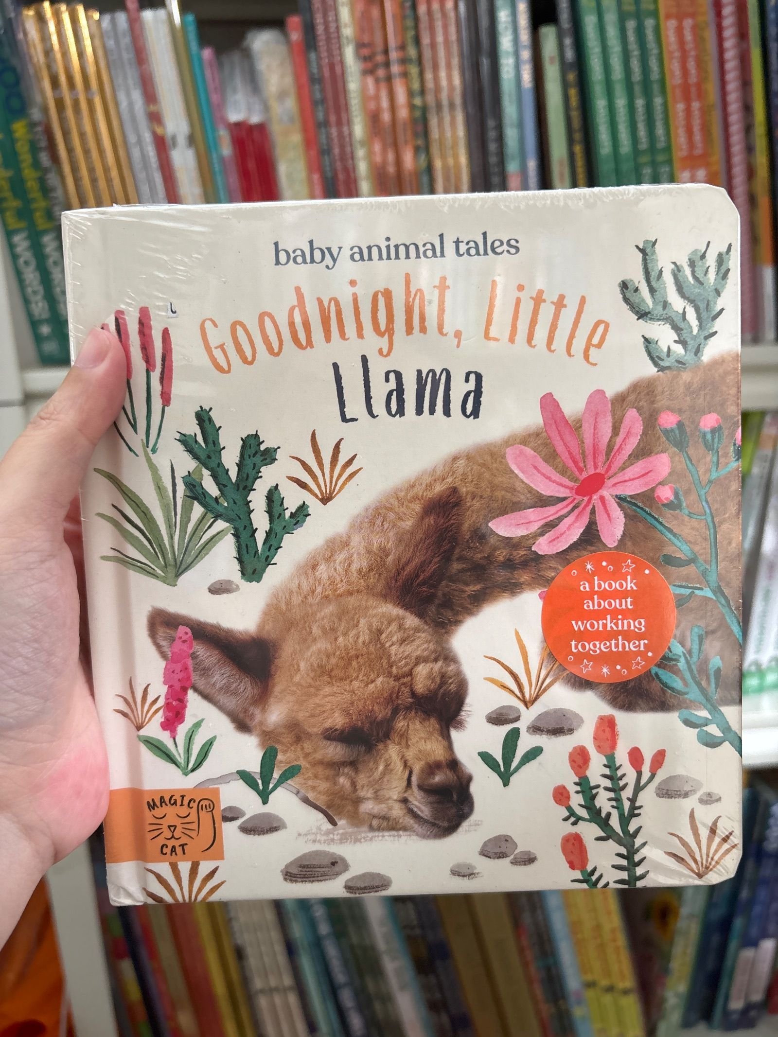 Goodnight, Little Llama