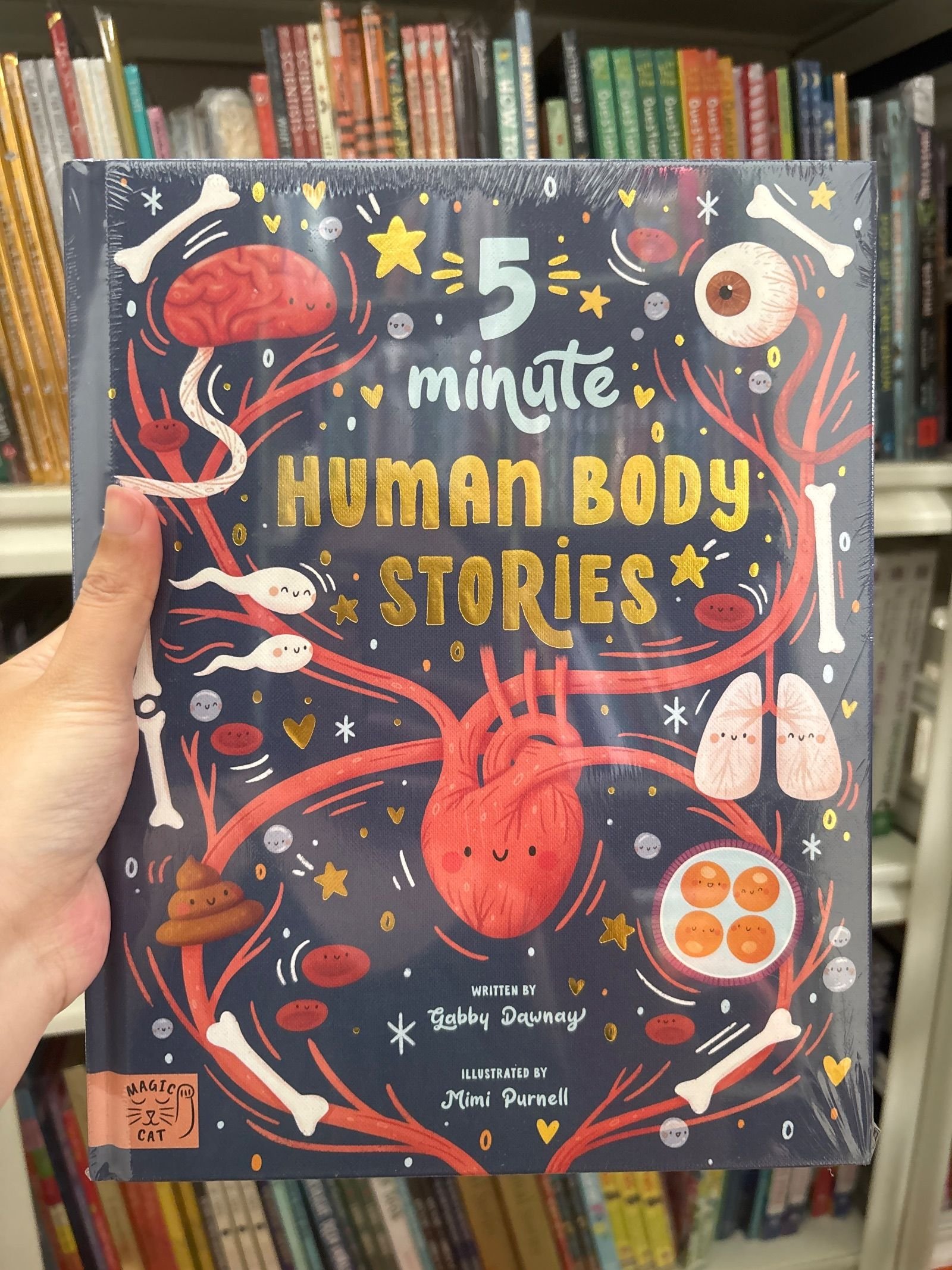 5 Minute Human Body Stories