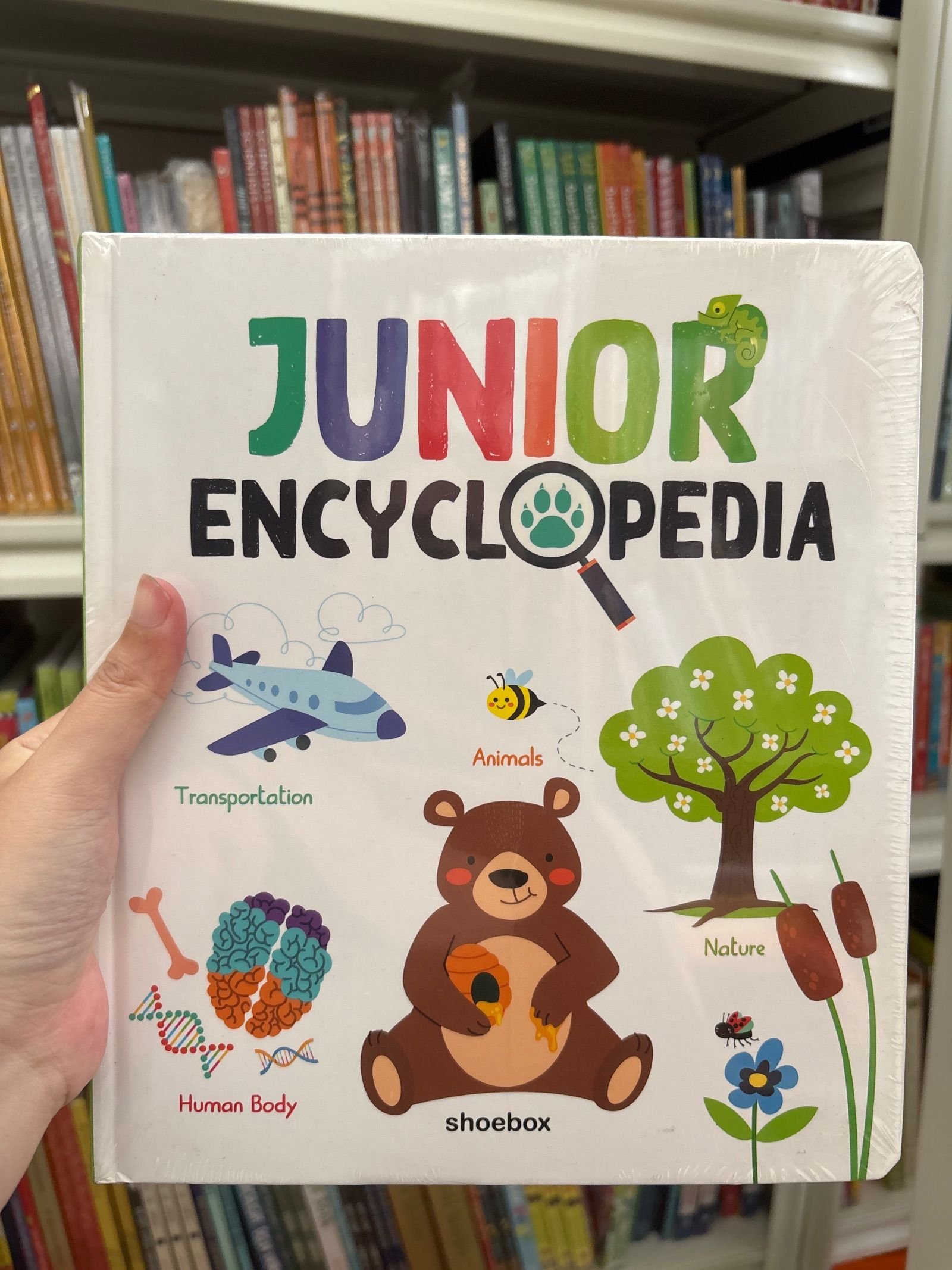 Junior Encyclopedia