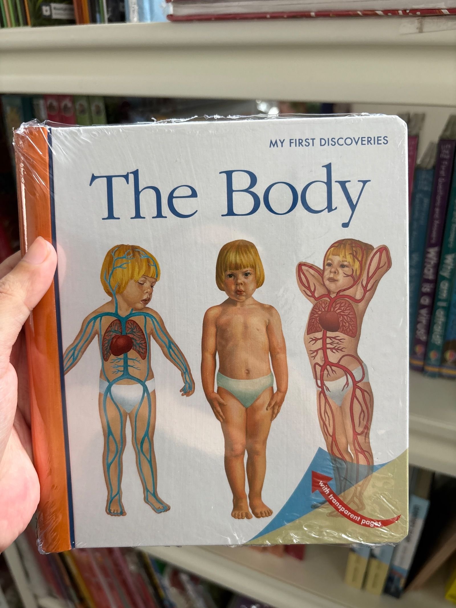 The Body