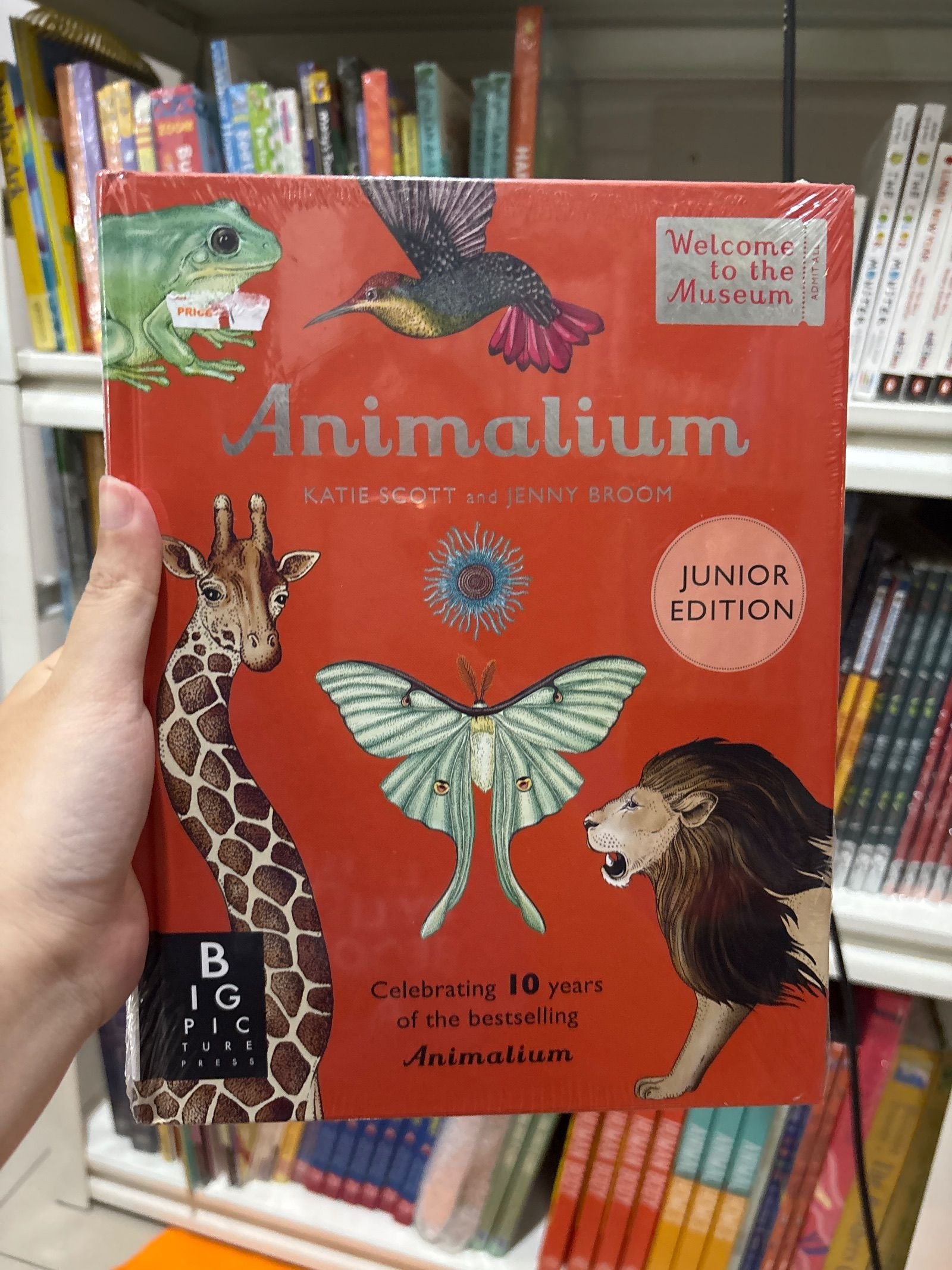 Animalium