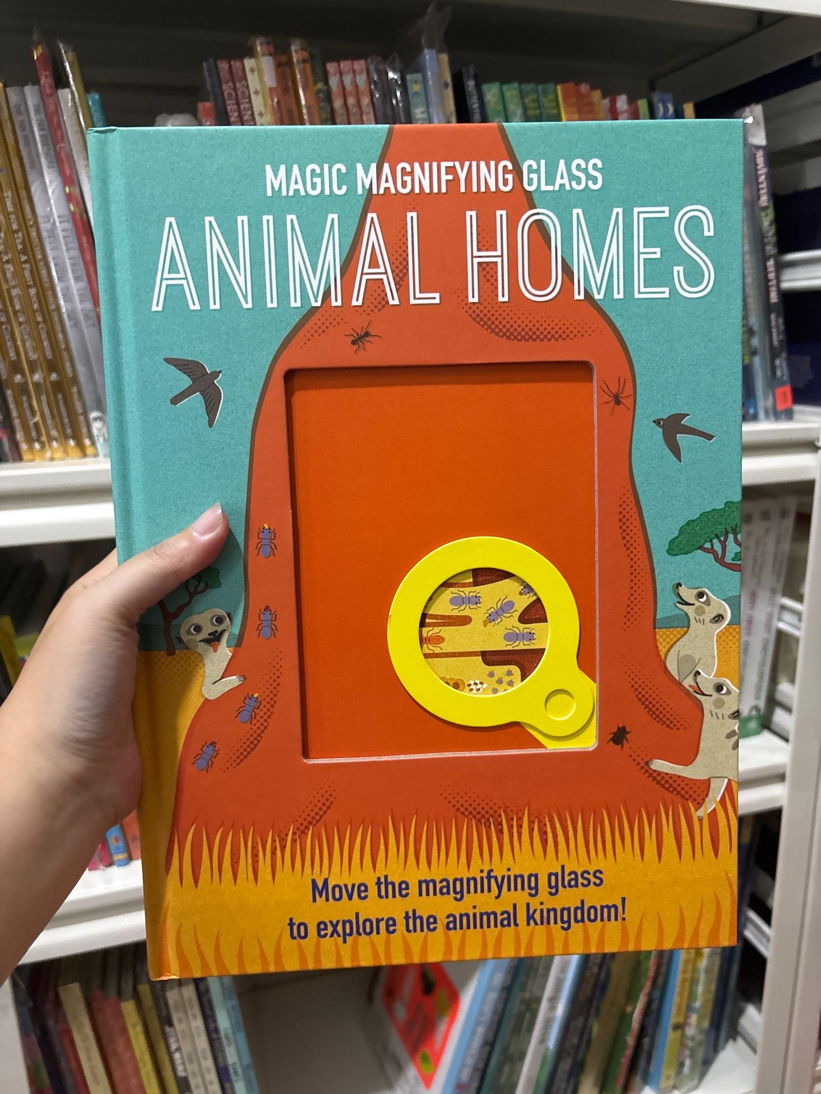 Magic Magnifying Glass