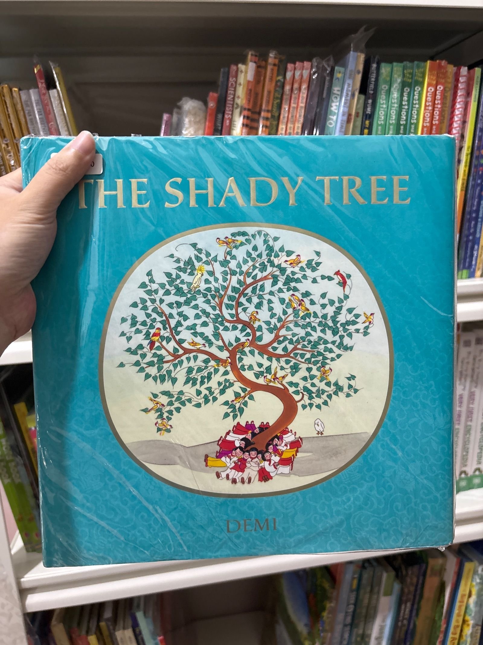 The Shady Tree
