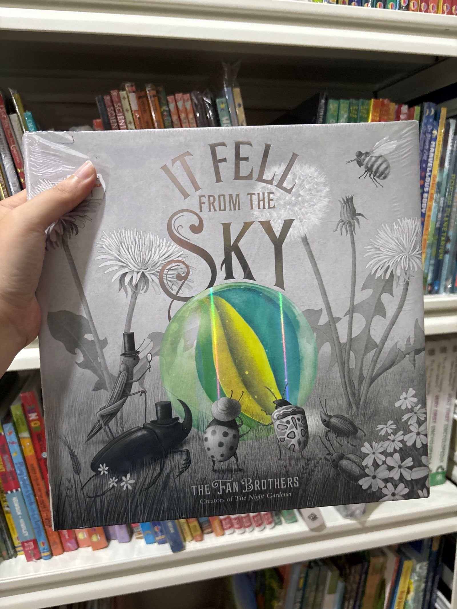 It Fell from the Sky