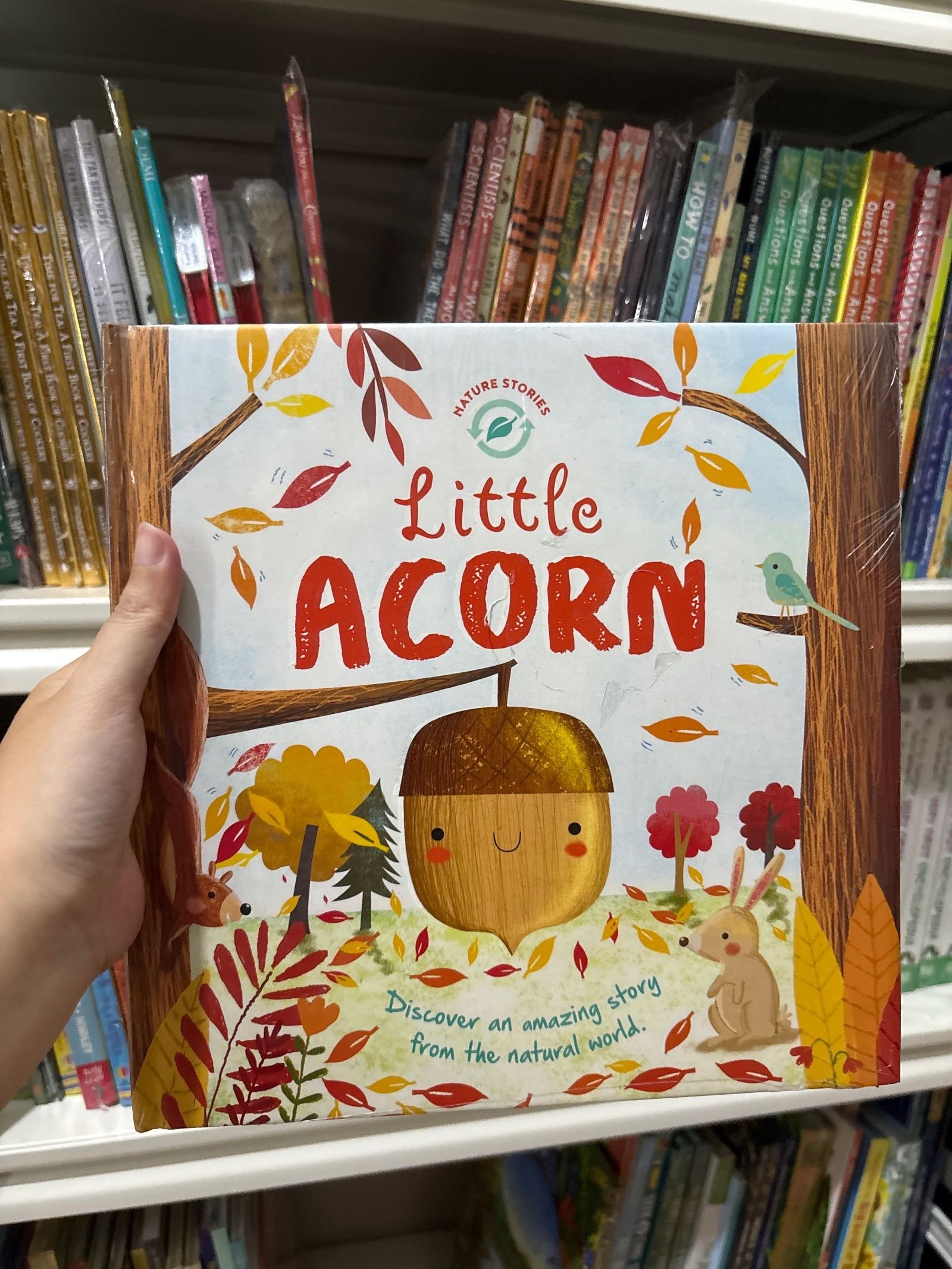 Little Acorn