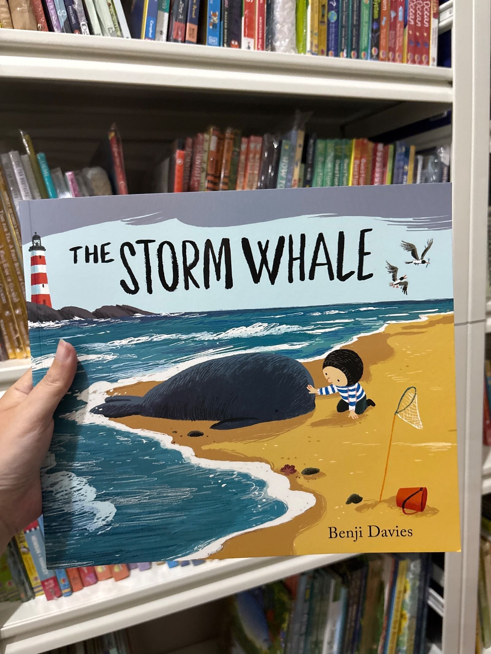 The Storm Whale