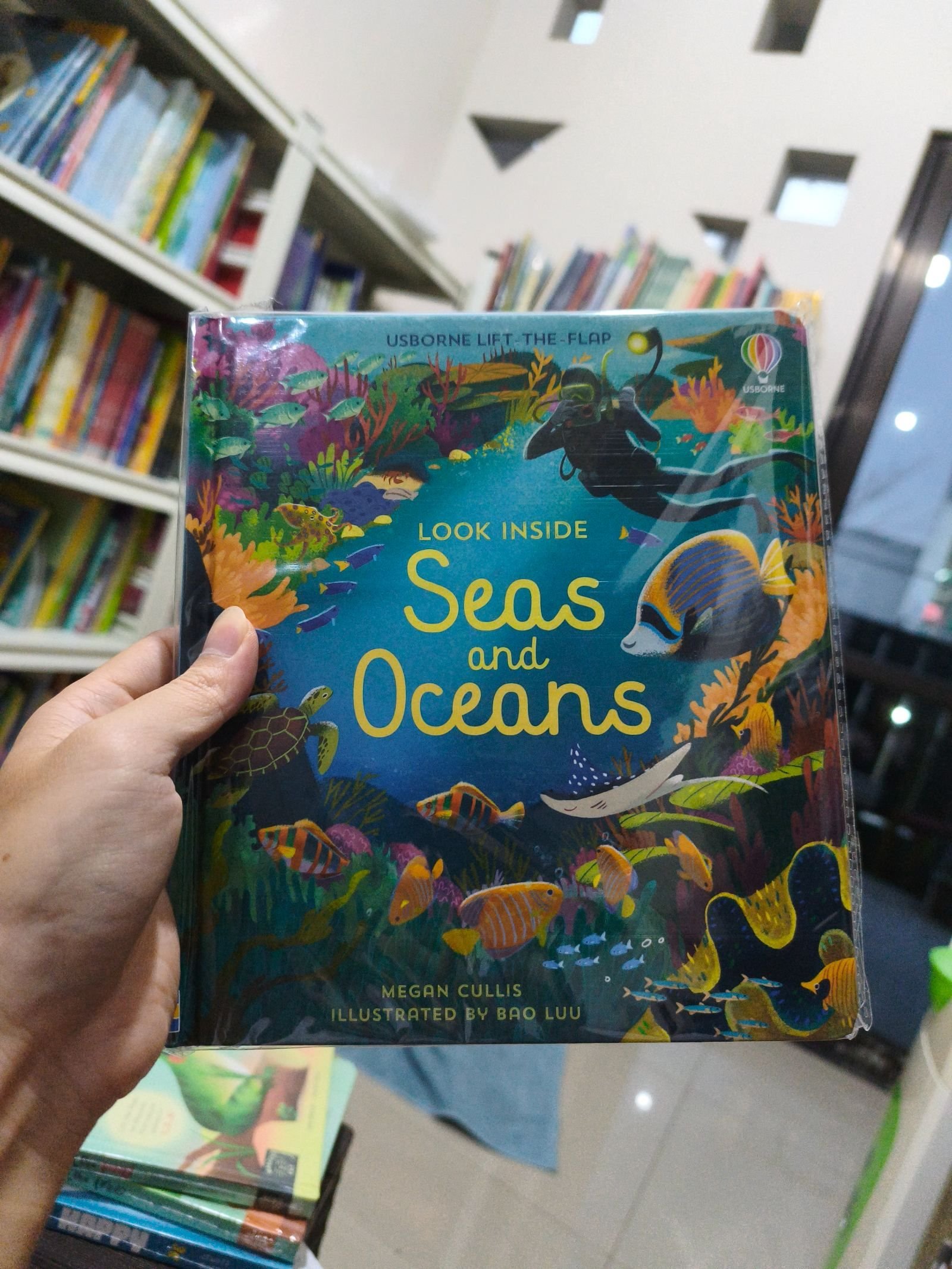 Look Inside Seas and Oceans
