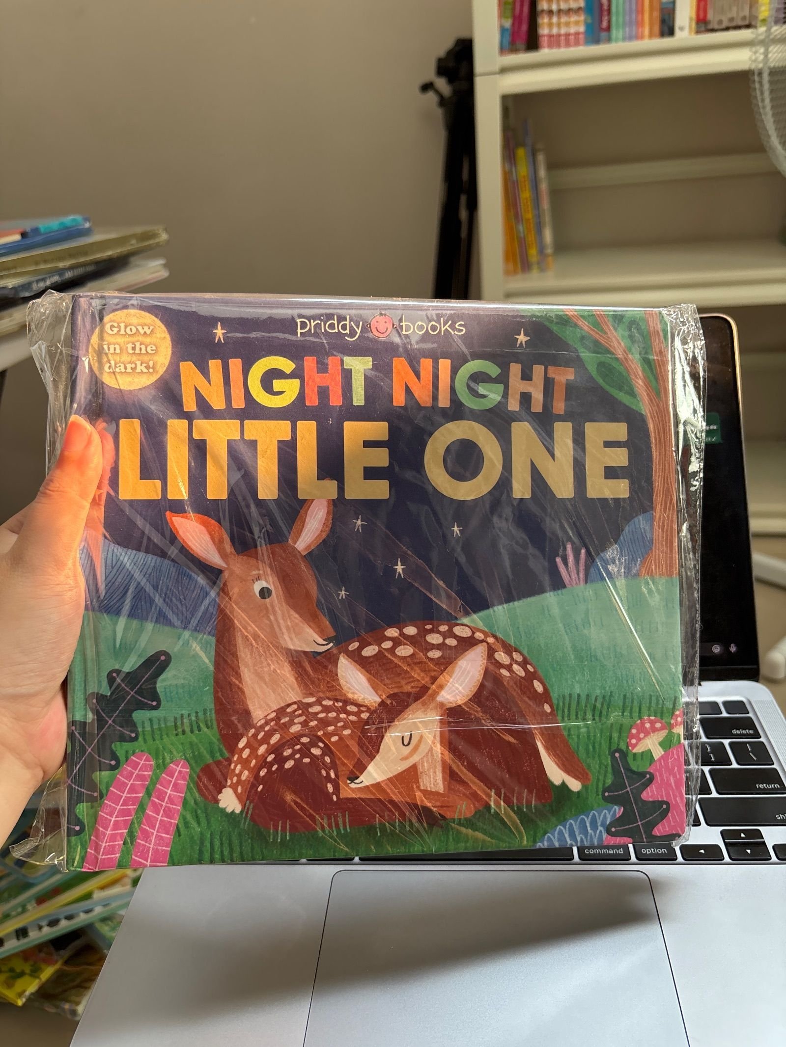 Night Night Books: Night Night Little One
