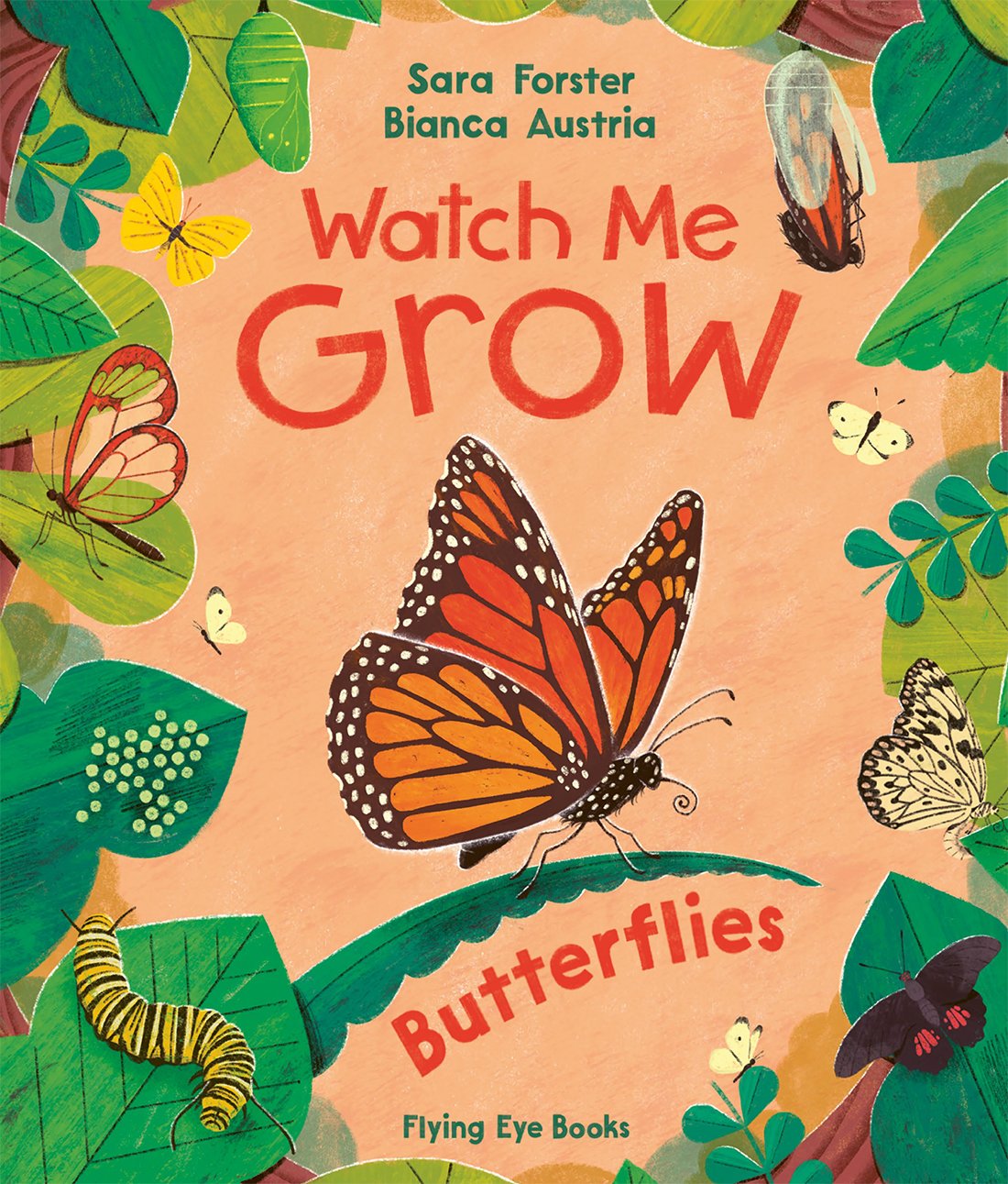 Butterflies