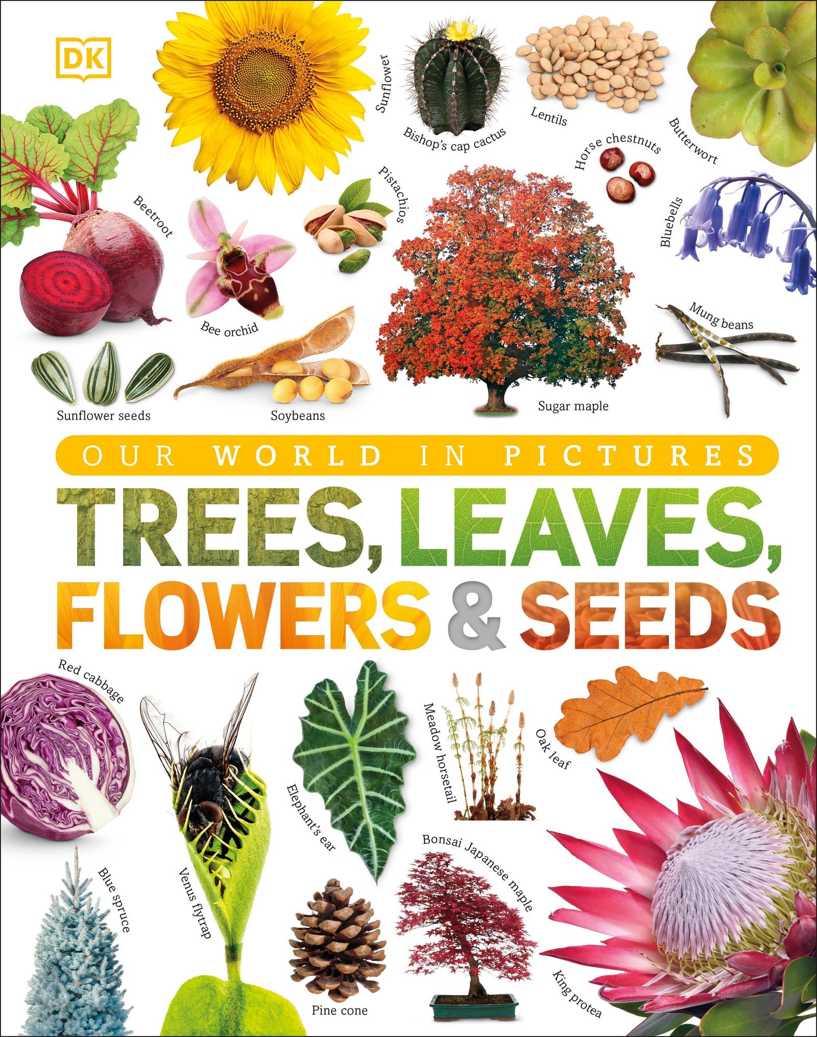 Trees, Leaves, Flowers & Seeds