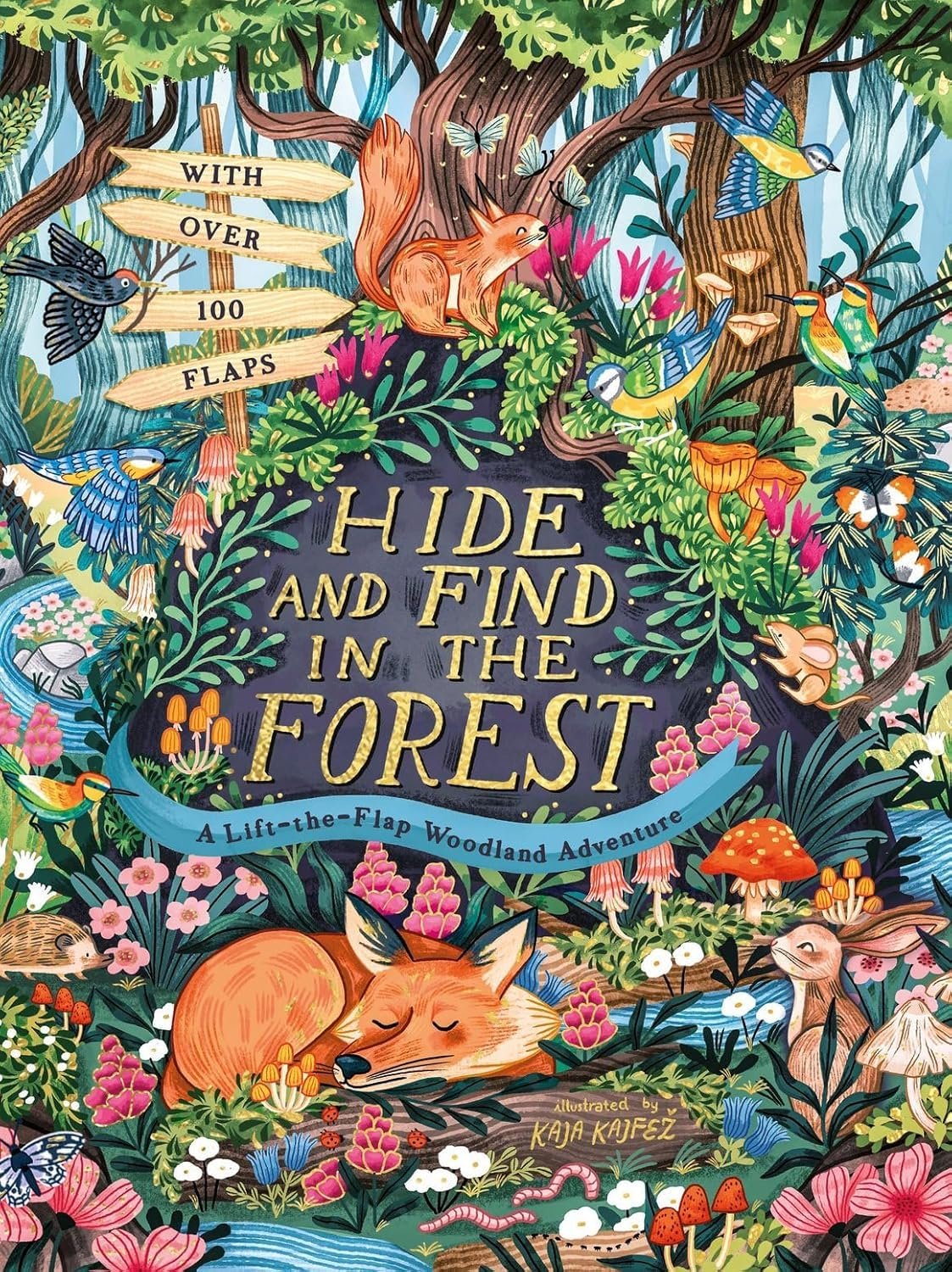 Hide and Find in the Forest: a Lift-The-Flap Woodland Adventure