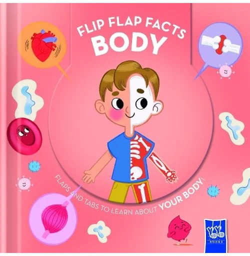 Flip Flap Facts Body