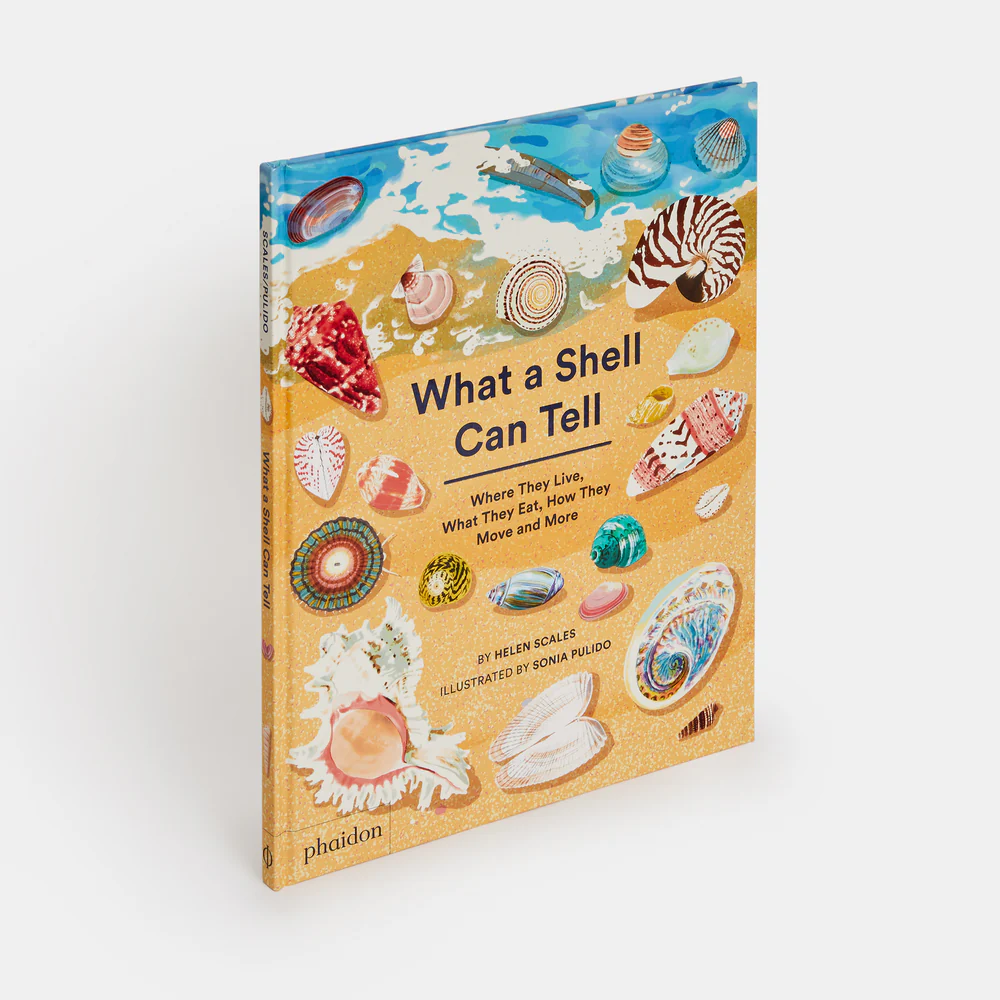 What a Shell Can Tell