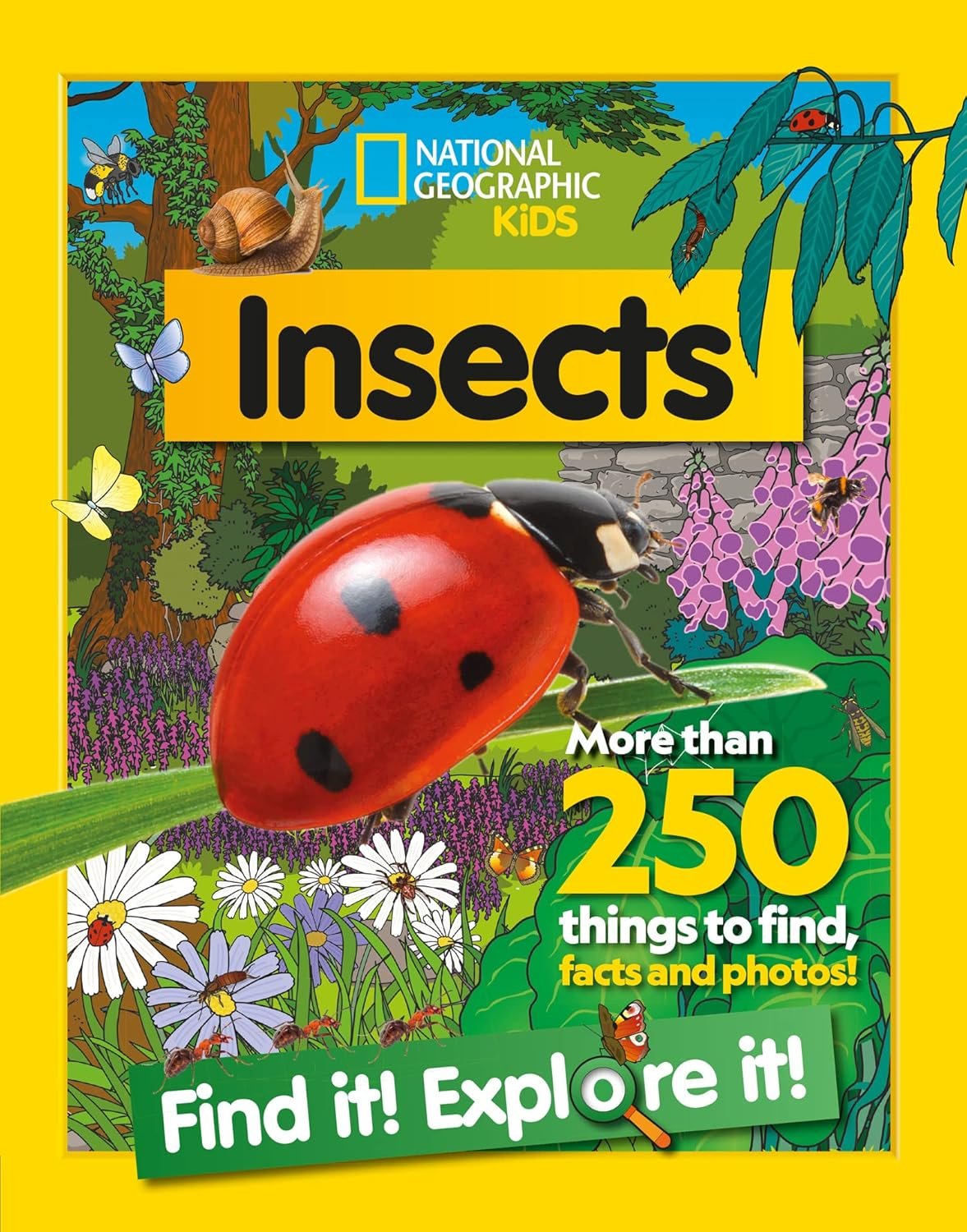 Insects Find It! Explore It!