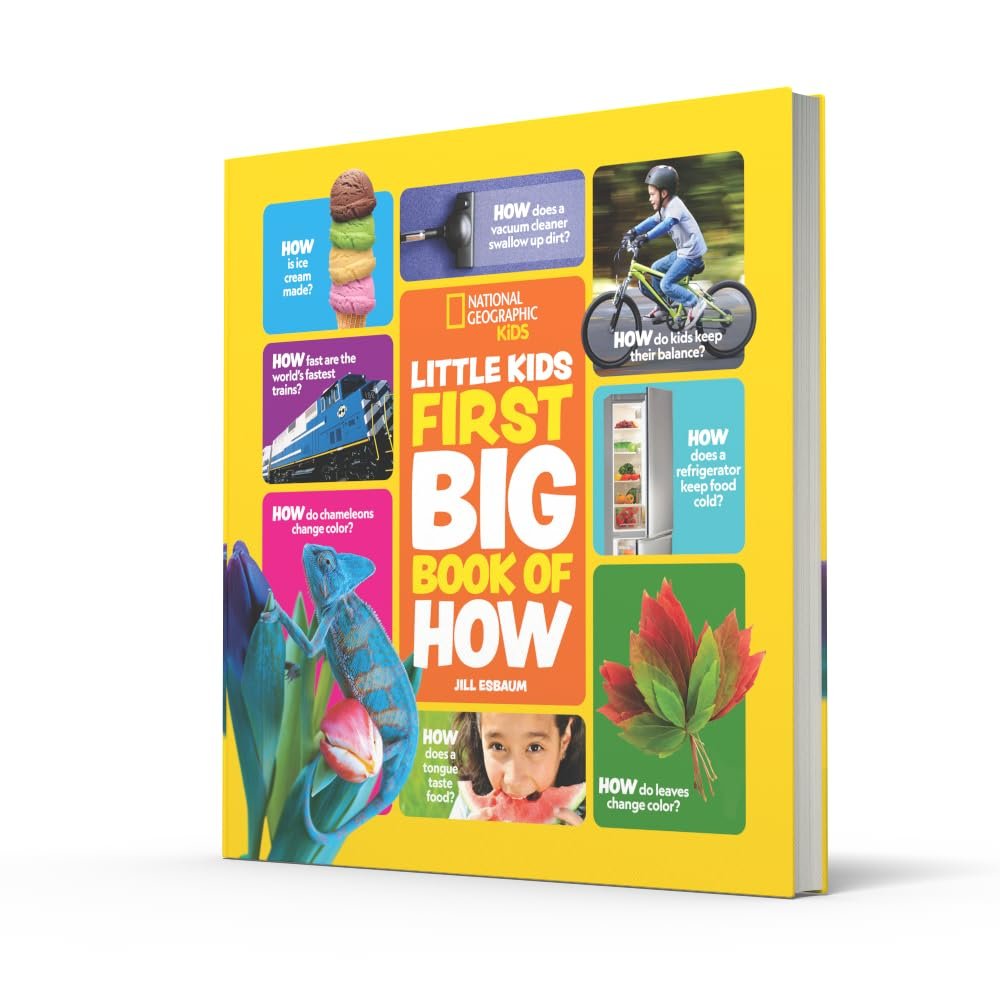 Little Kids First Big Book of How
