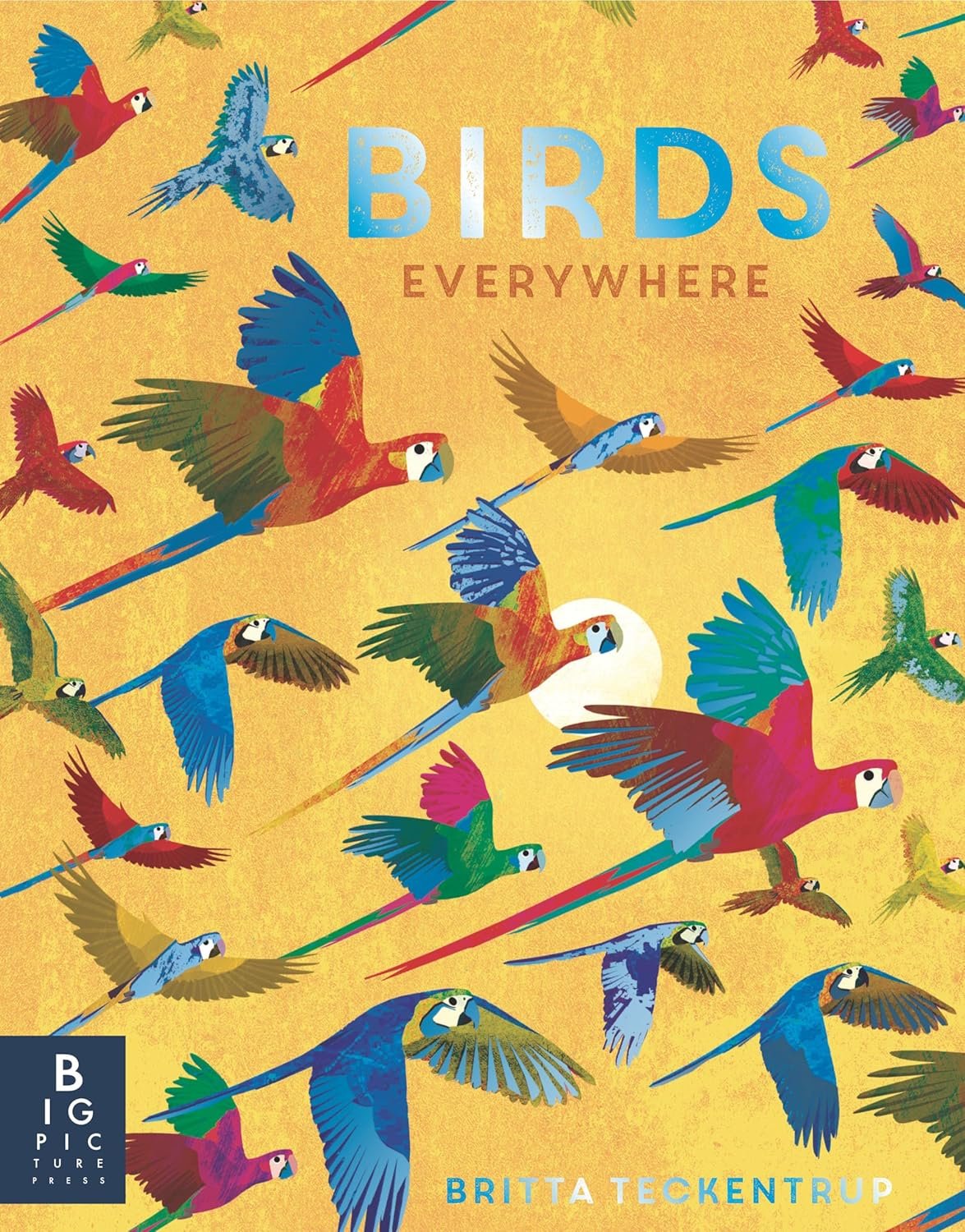 There are Birds Everywhere