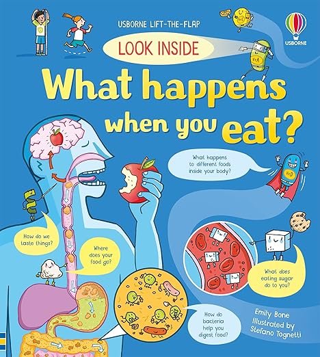 Look Inside: What Happens When You Eat