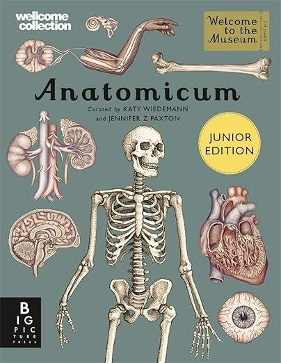Anatomicum (Junior Edition)