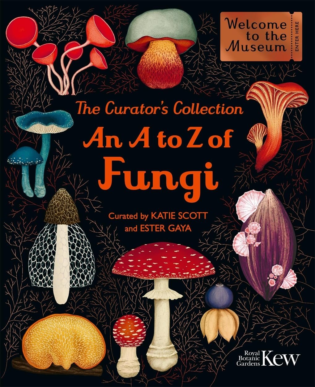 The Curator’s Collection: An A to Z of Fungi
