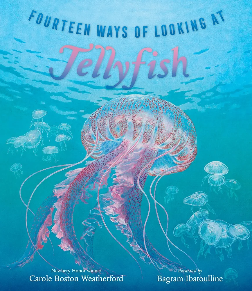 Fourteen Ways of Looking at Jellyfish