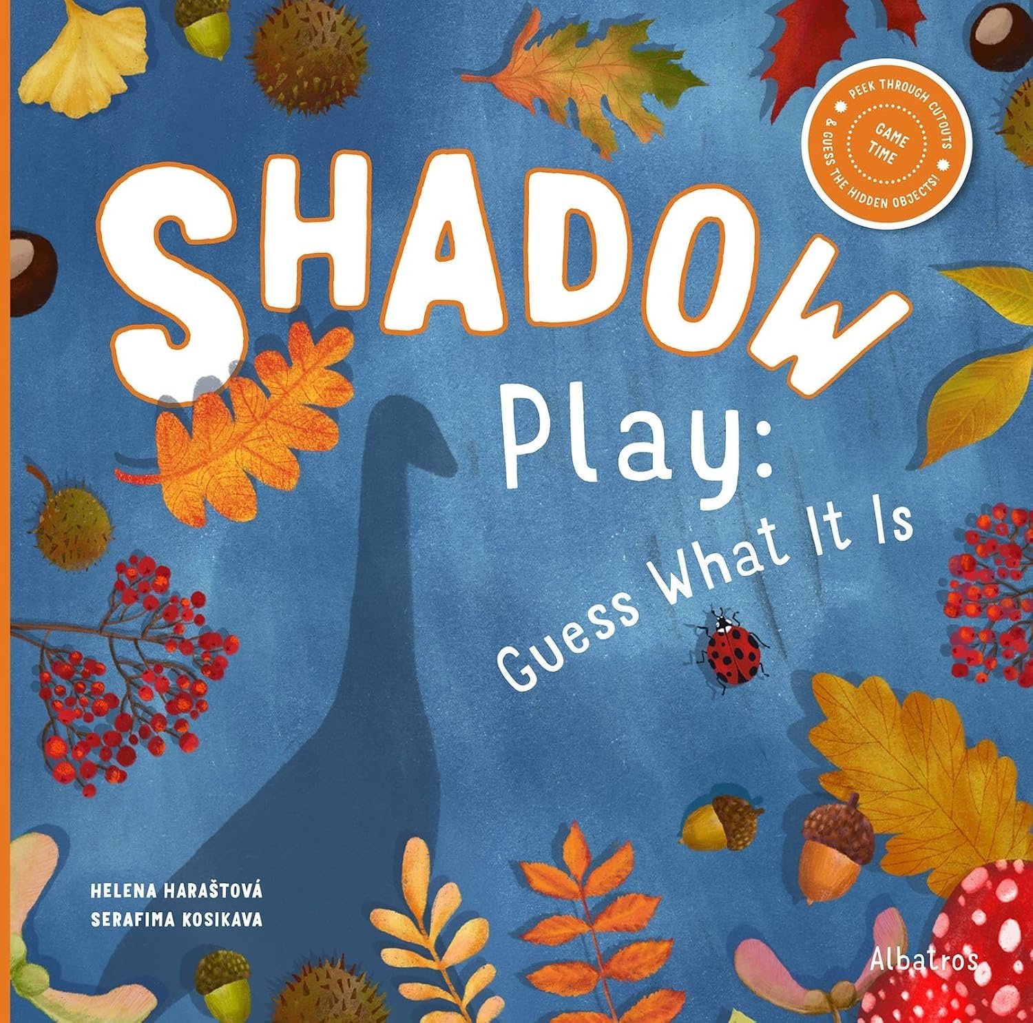 Shadow Play: Guess What It Is?