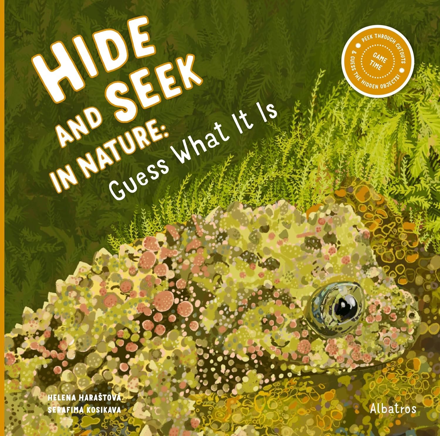Hide and Seek in Nature: Guess What It Is?