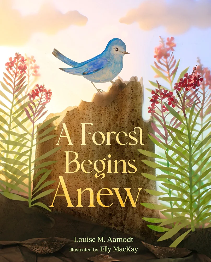 Forest Begins Anew