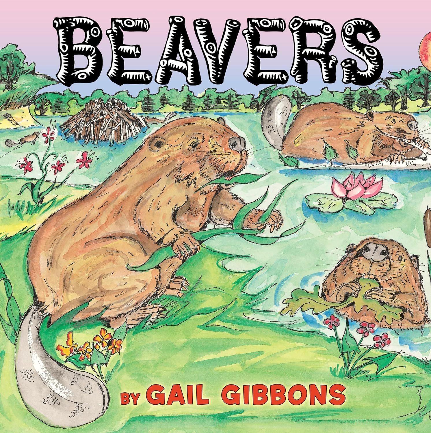 Beavers by Gail Gibbons